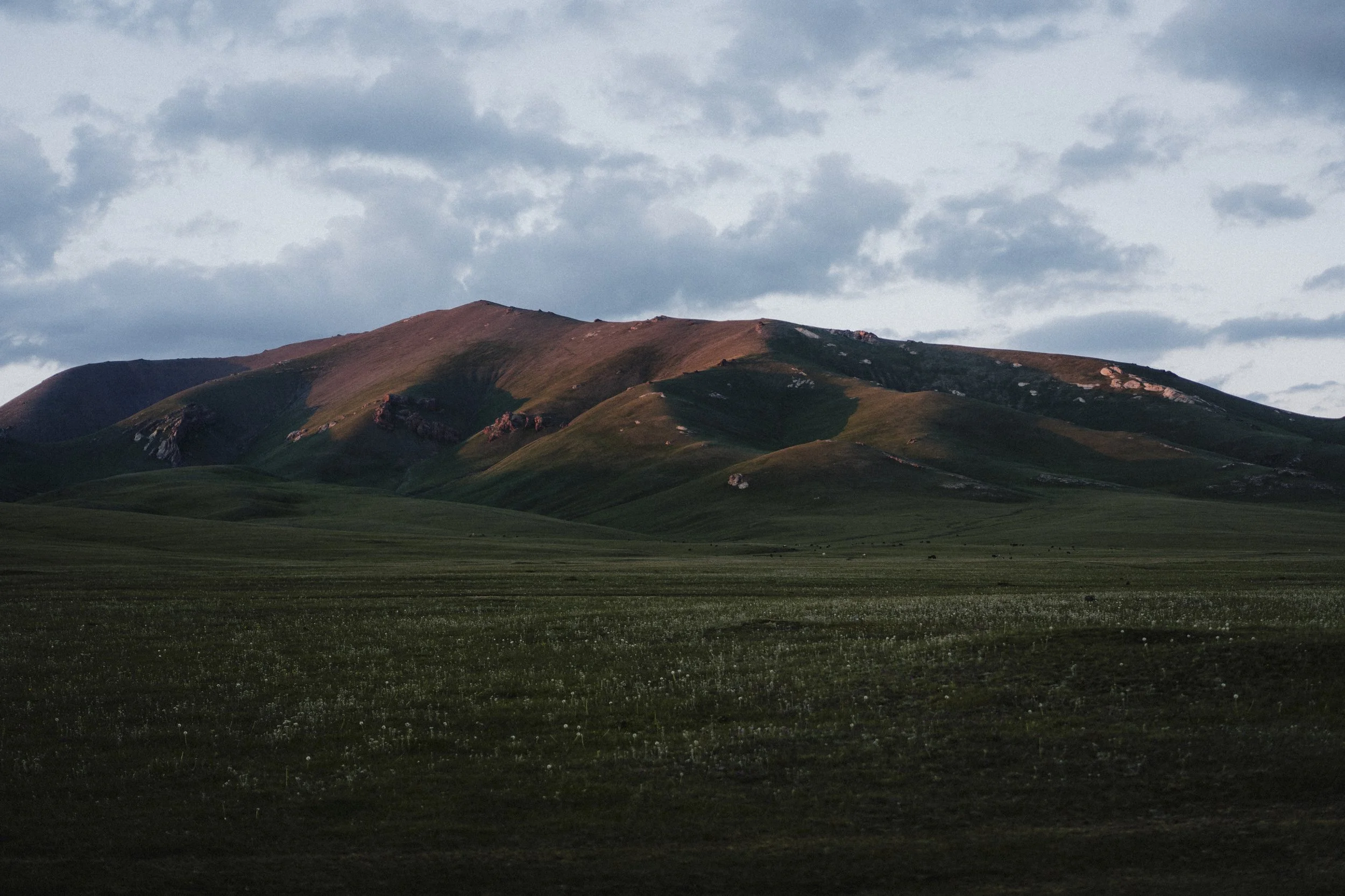 _DSC0960.JPG