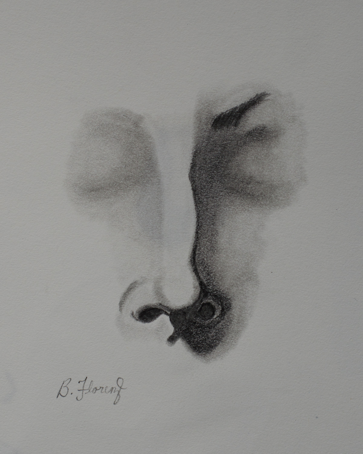 Nose study 1, pencil