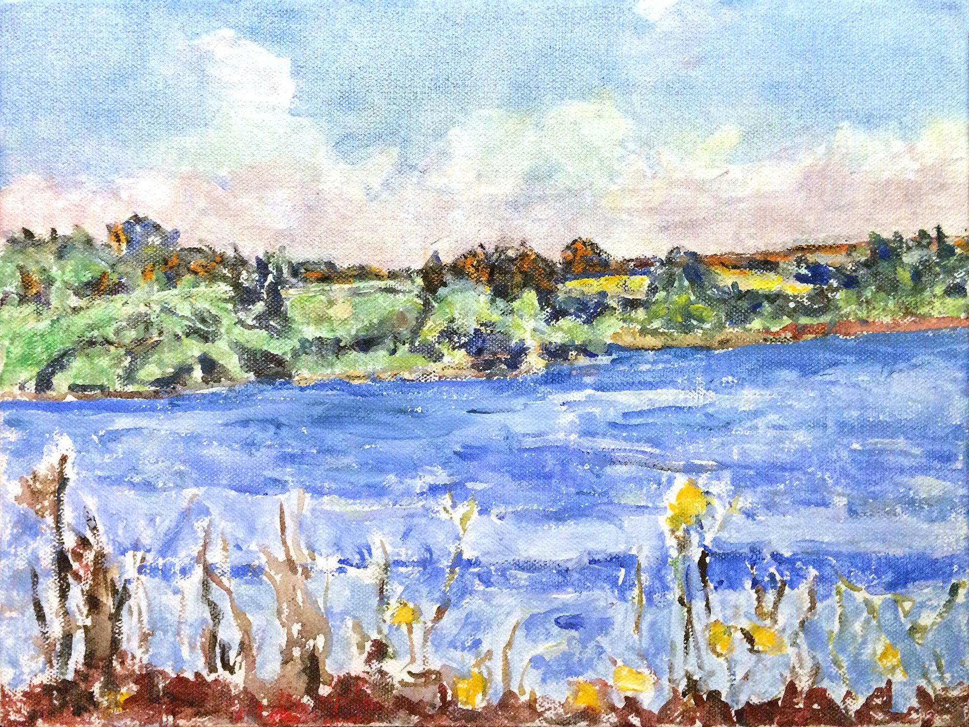 Yellow Flowers on the Lakes Edge, 2011. 9 x 12 in., acrylic on canvas