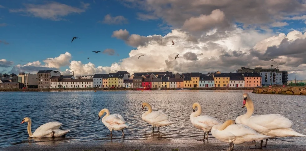 IMG_7767-claddagh conorledwith.jpg