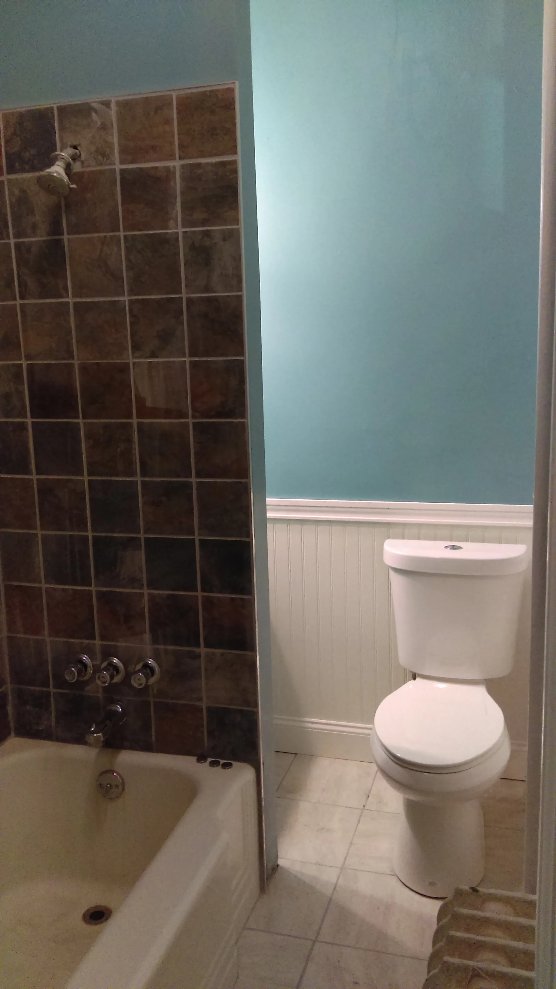 IMAG0248.jpg