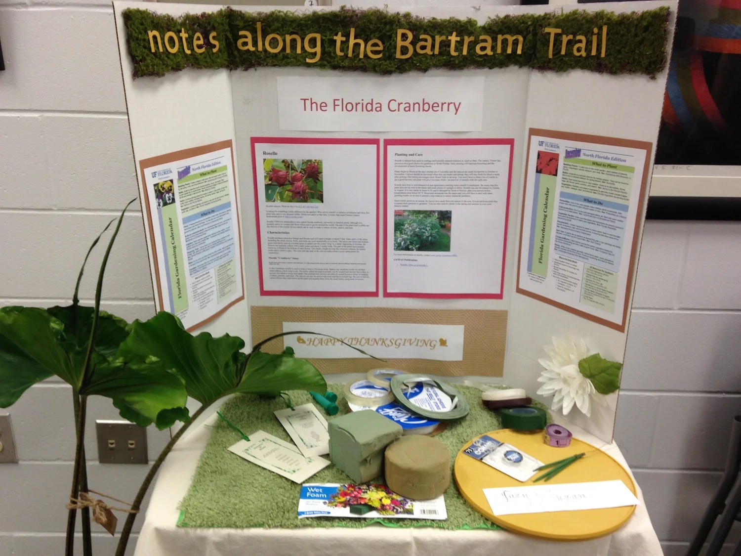 Display by Kathleen Lunman