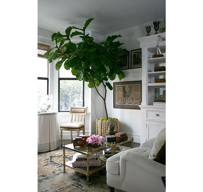 tree-pix.jpg