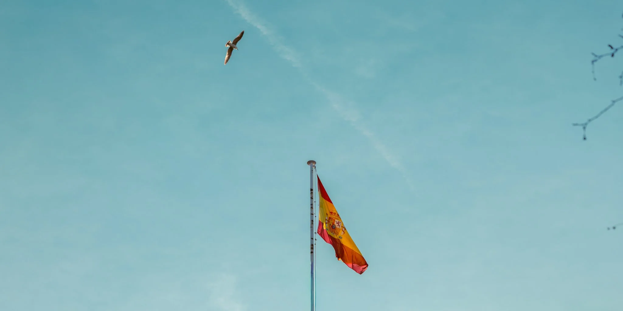 XIII MEDIA x SPAIN 2026-127.jpg