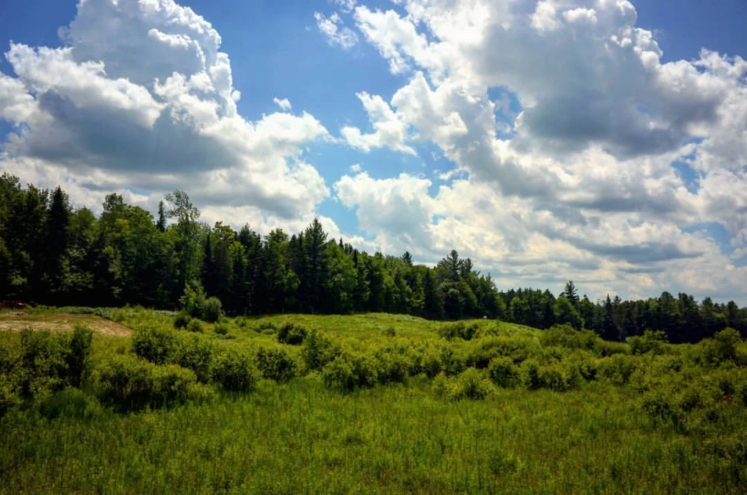 Day two GEOGRAPHY: reading human and nonhuman habitation patterns, mapping flows (water, transport, energy, meaning), developing the proper scale of analysis for the task at hand. How is the landscape inhabited and for what purpose? 