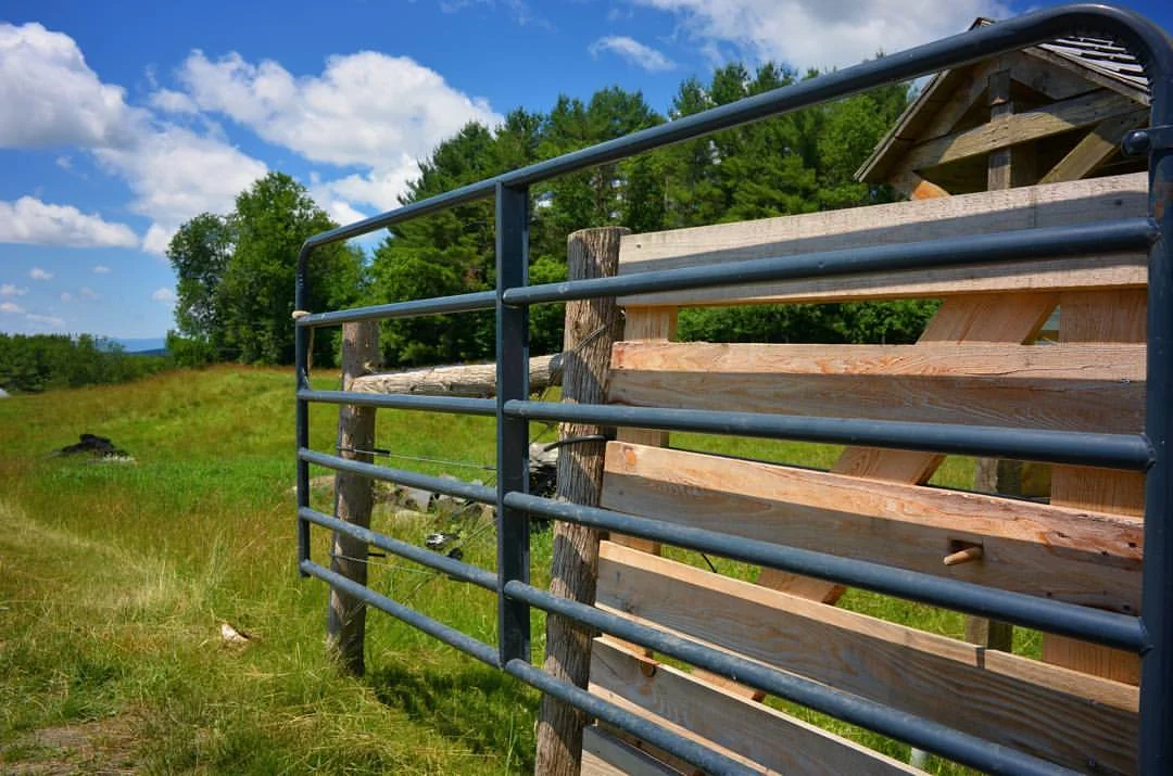 Day seven FENCES: exploring the epigenetics of barrier systems, the dematerialization of containment - stone -> wood -> wire -> electric -> virtual, barbed wire as the atomic bomb of grasslands, geomorphometry.