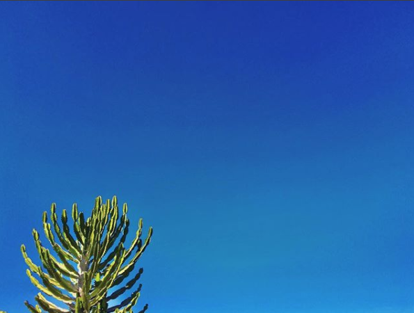 Screen Shot 2018-01-07 at 11.14.26 AM.png