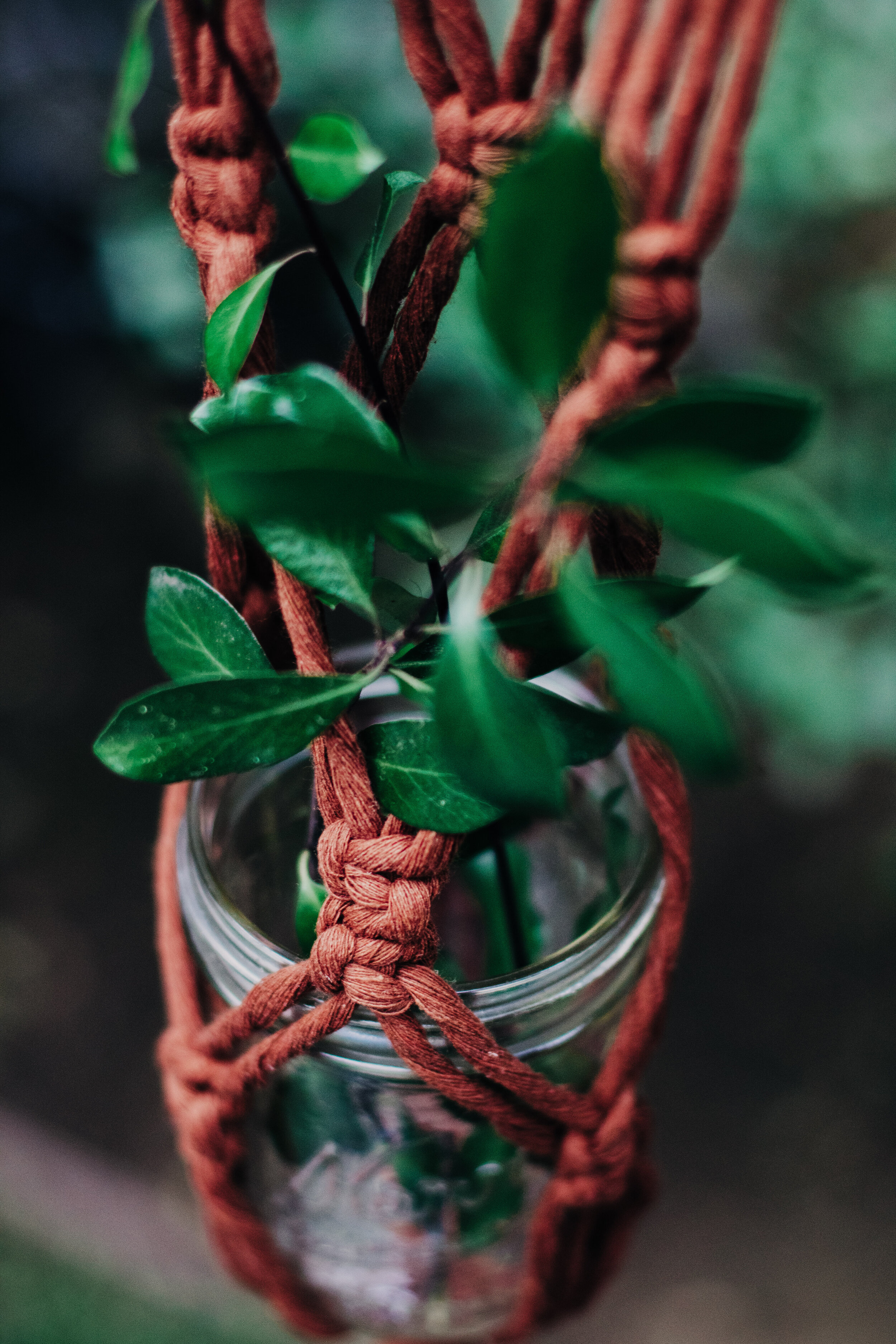Macrame Plant Hanger w/ Crystals: Rust