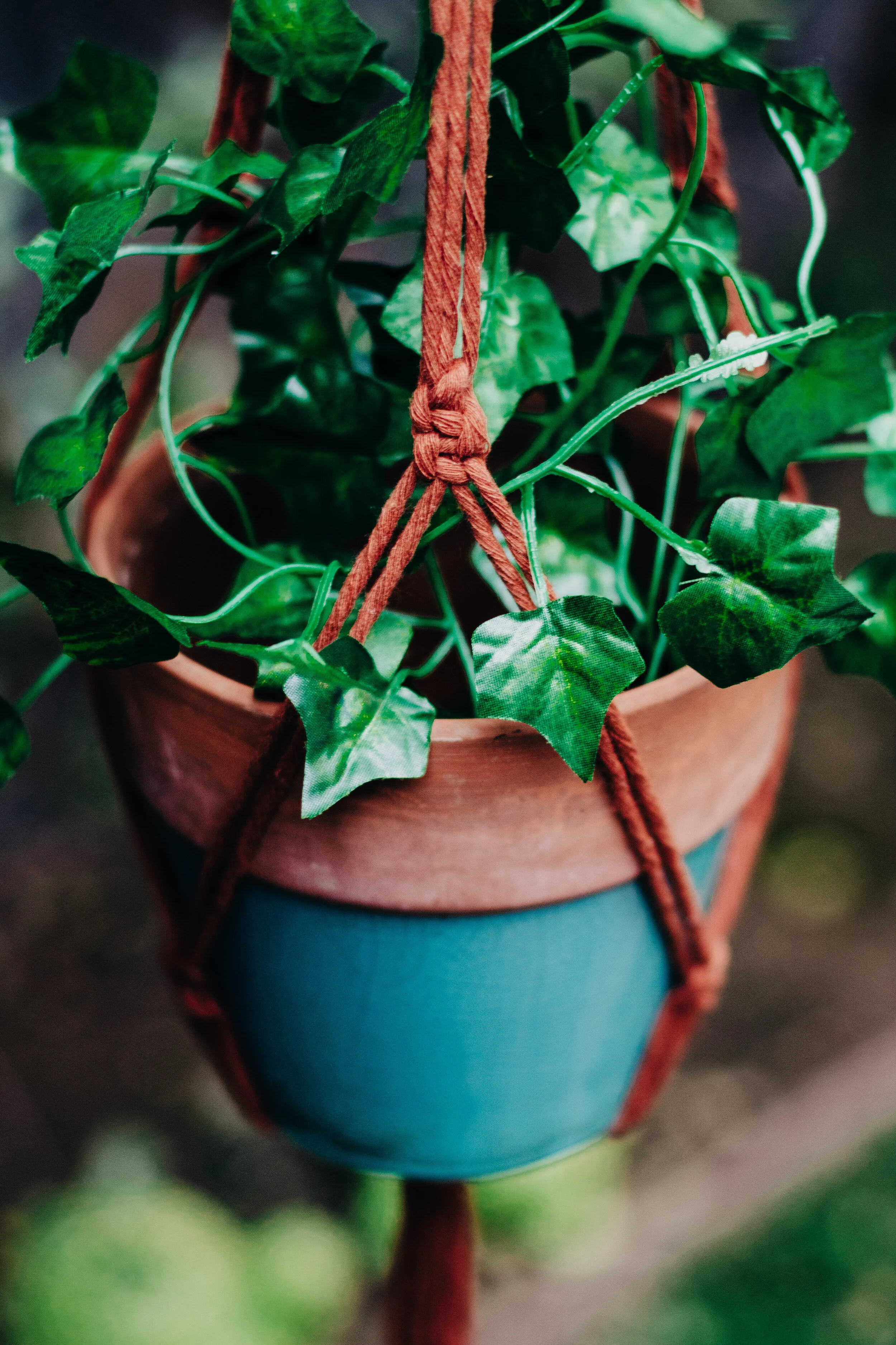 Macrame Plant Hanger
