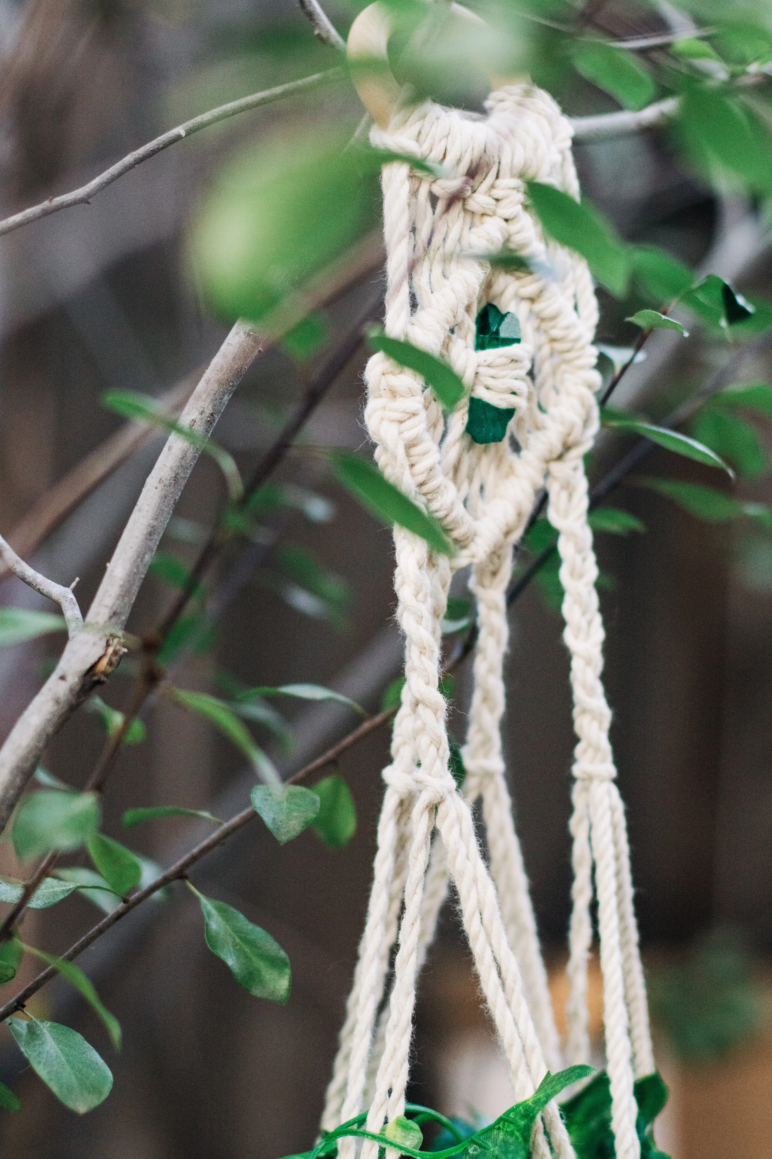Macrame Plant Hanger