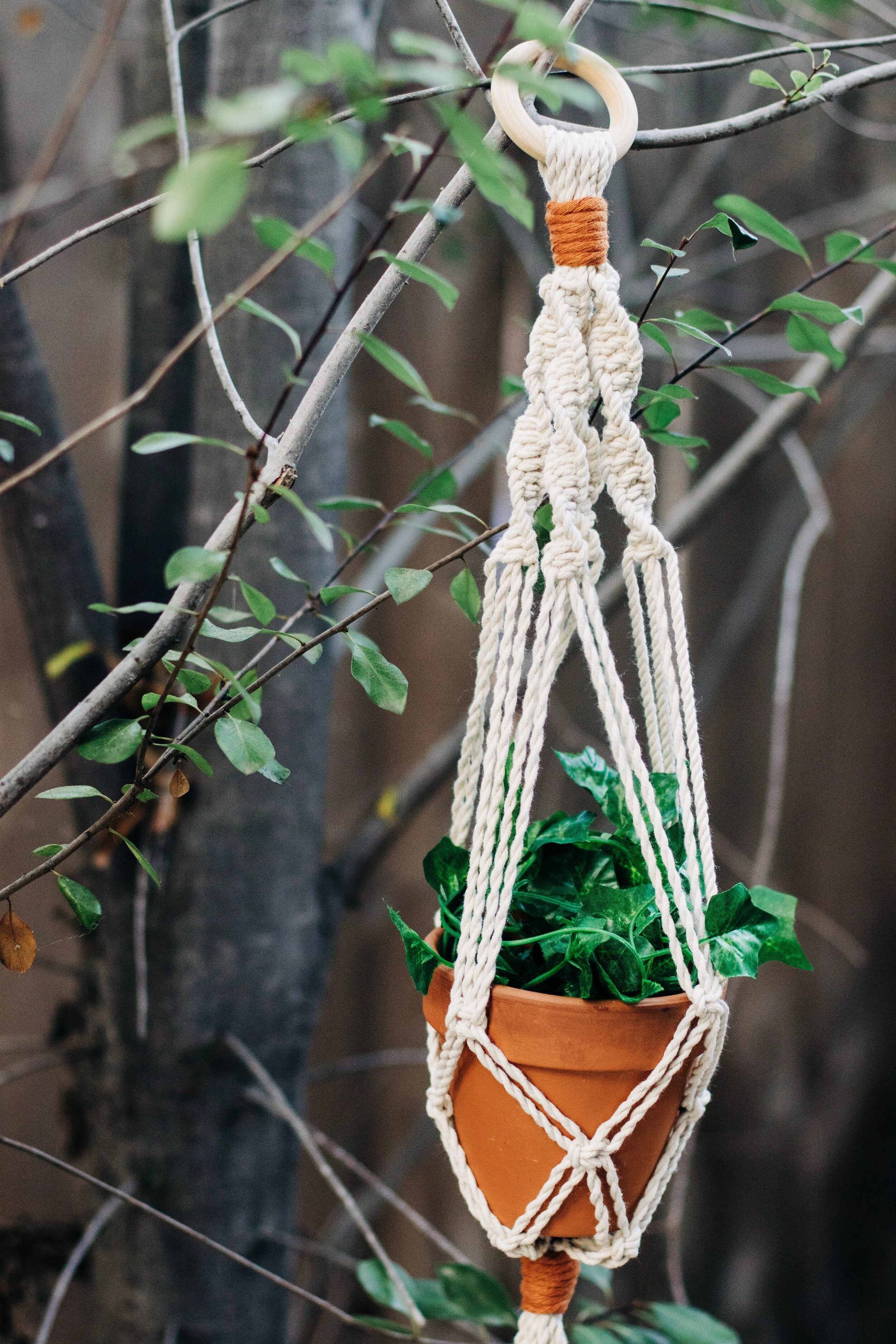 Macrame Plant Hanger