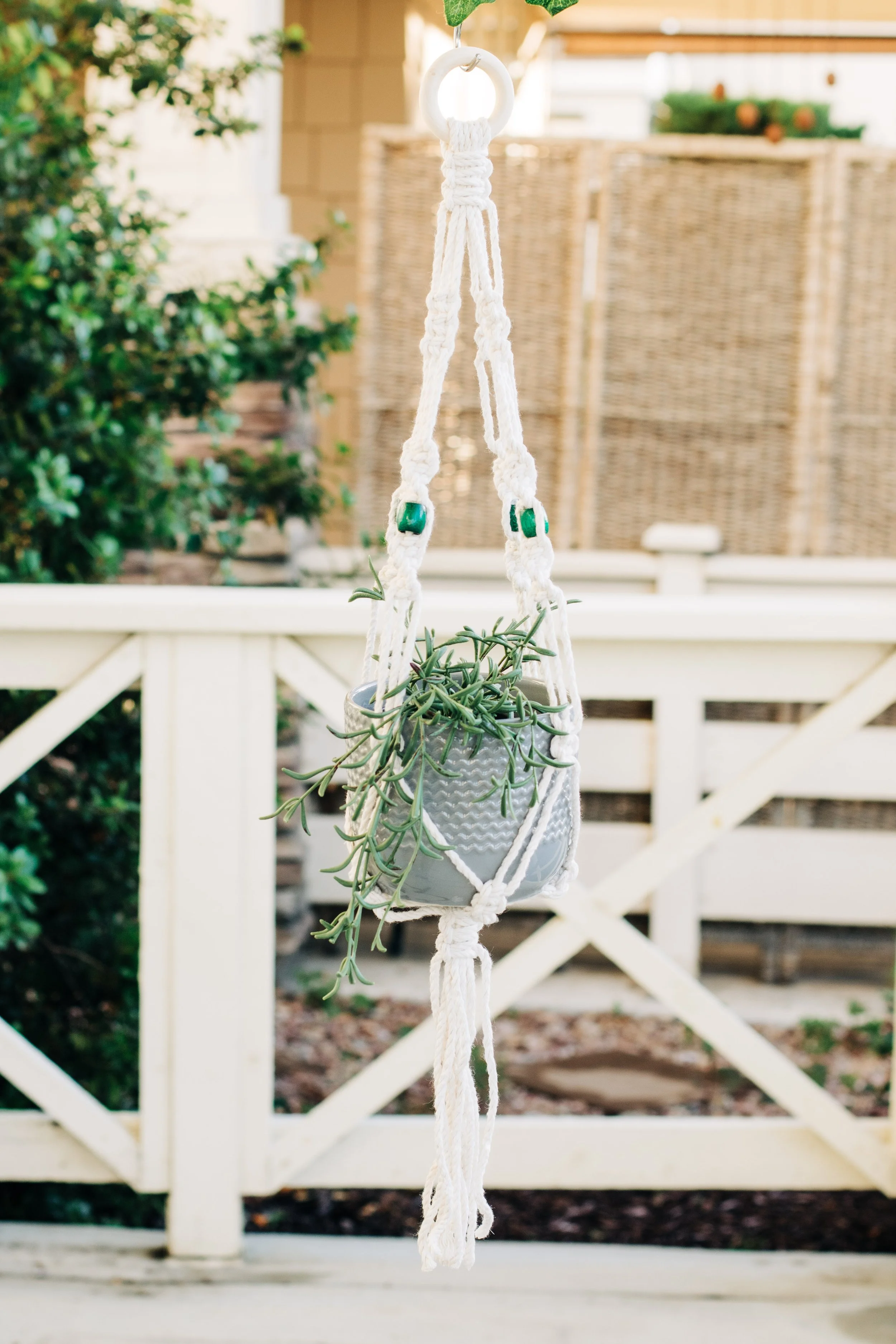 Macrame Plant Hanger