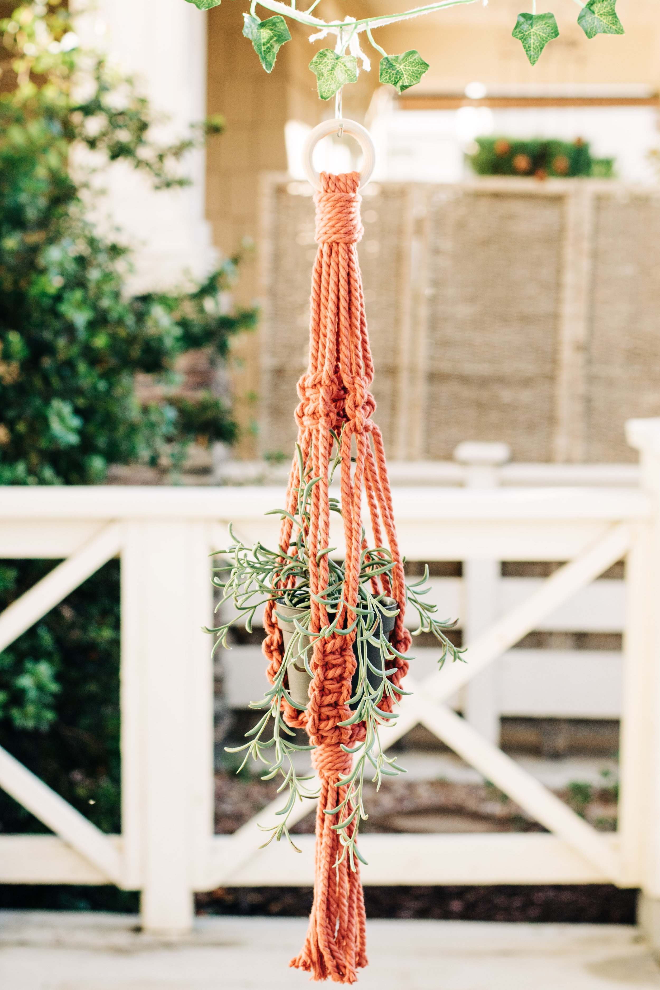 Macrame Plant Hanger