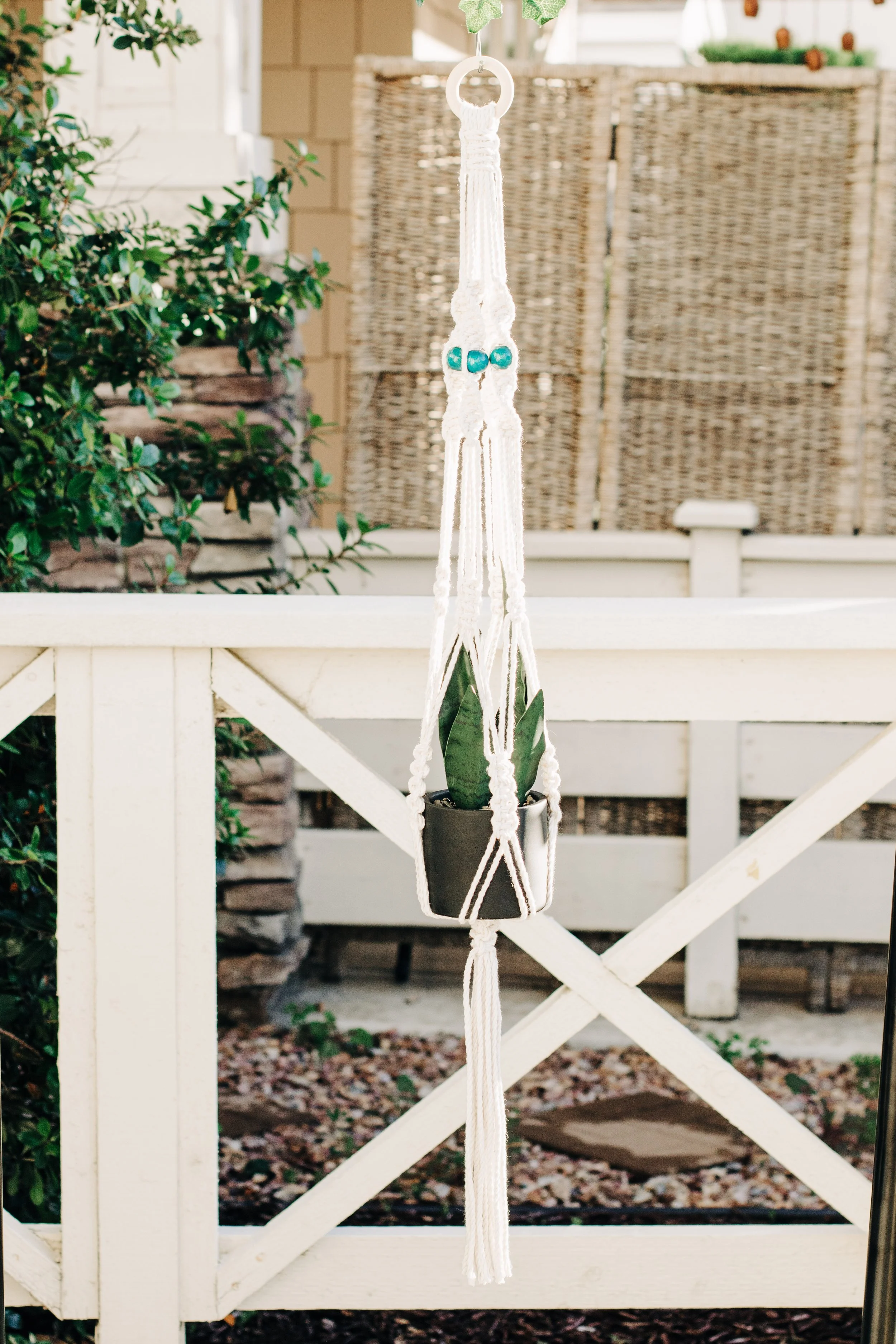 Macrame Plant Hanger