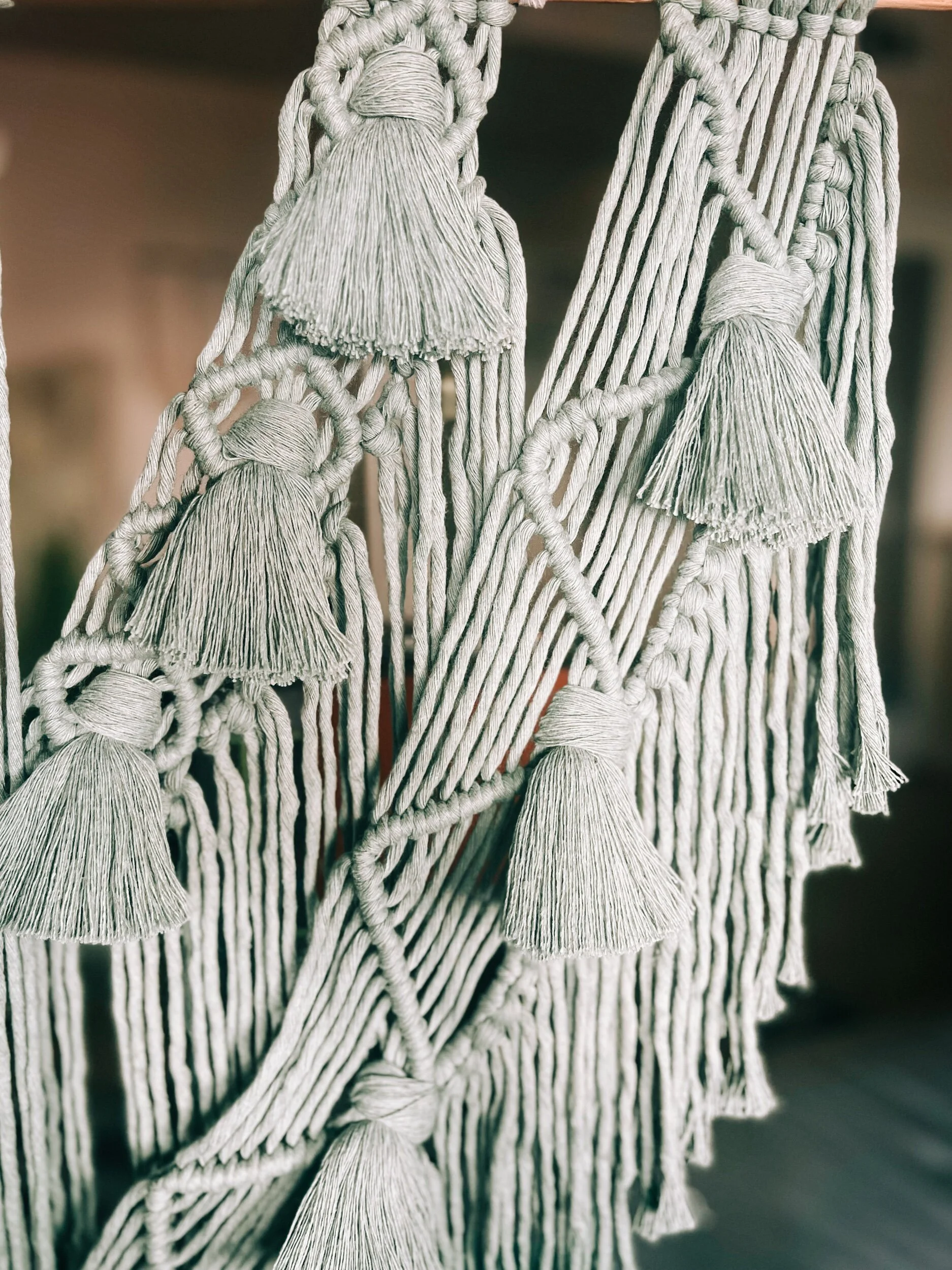 B47B0497-2DEA-451B-99B2-A9B3C62D09C4