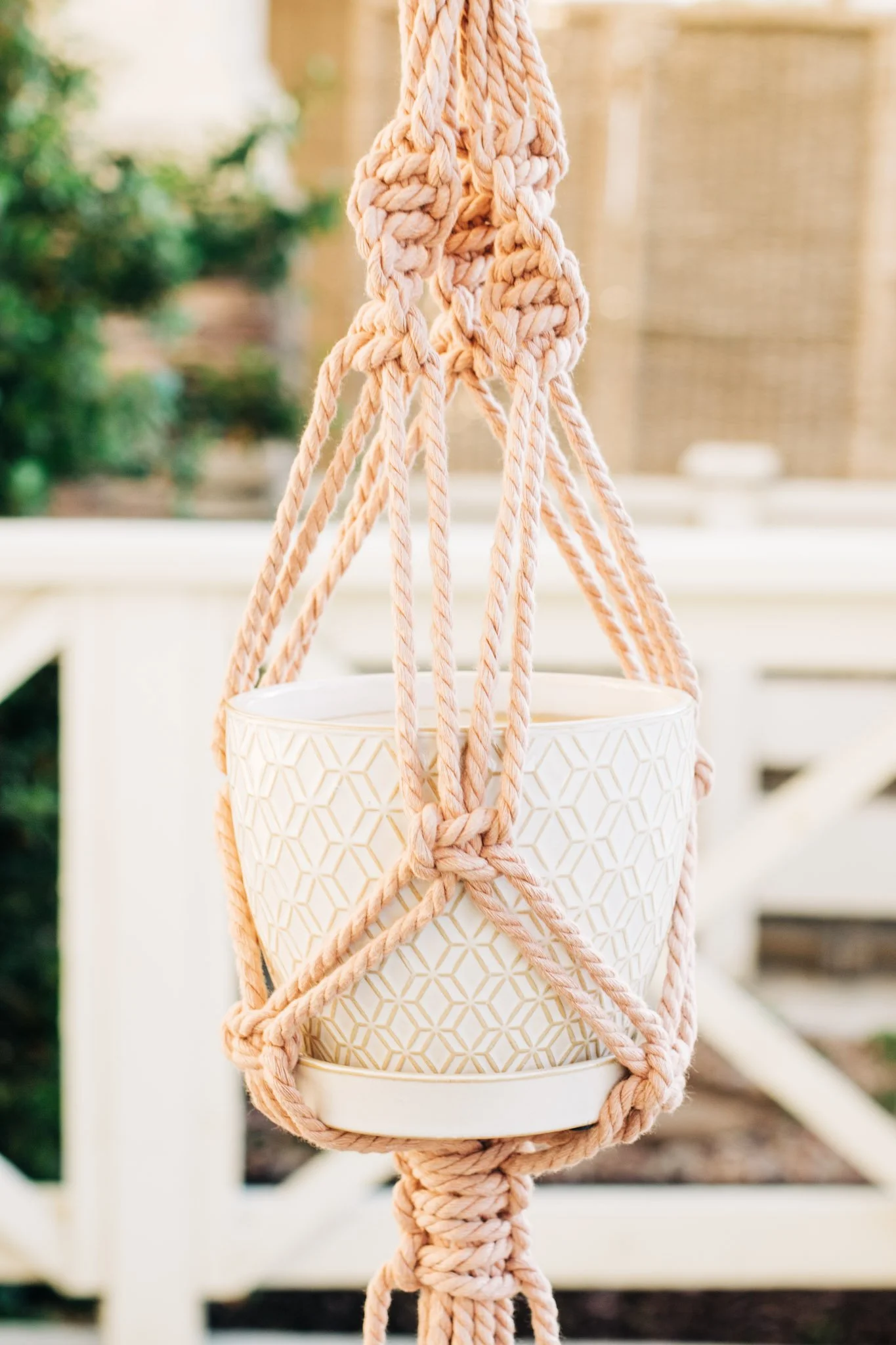 The Outside Collection