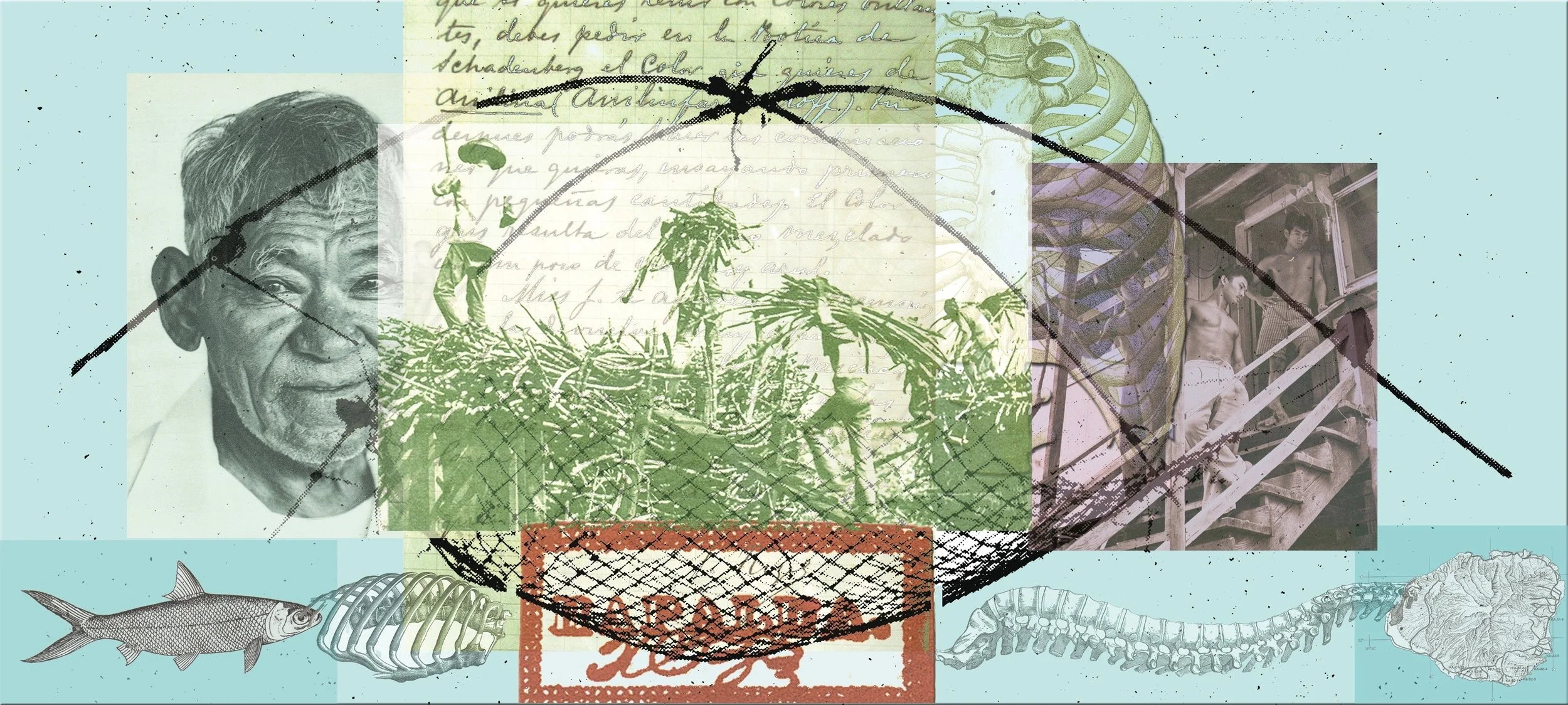 Pau Hana State III