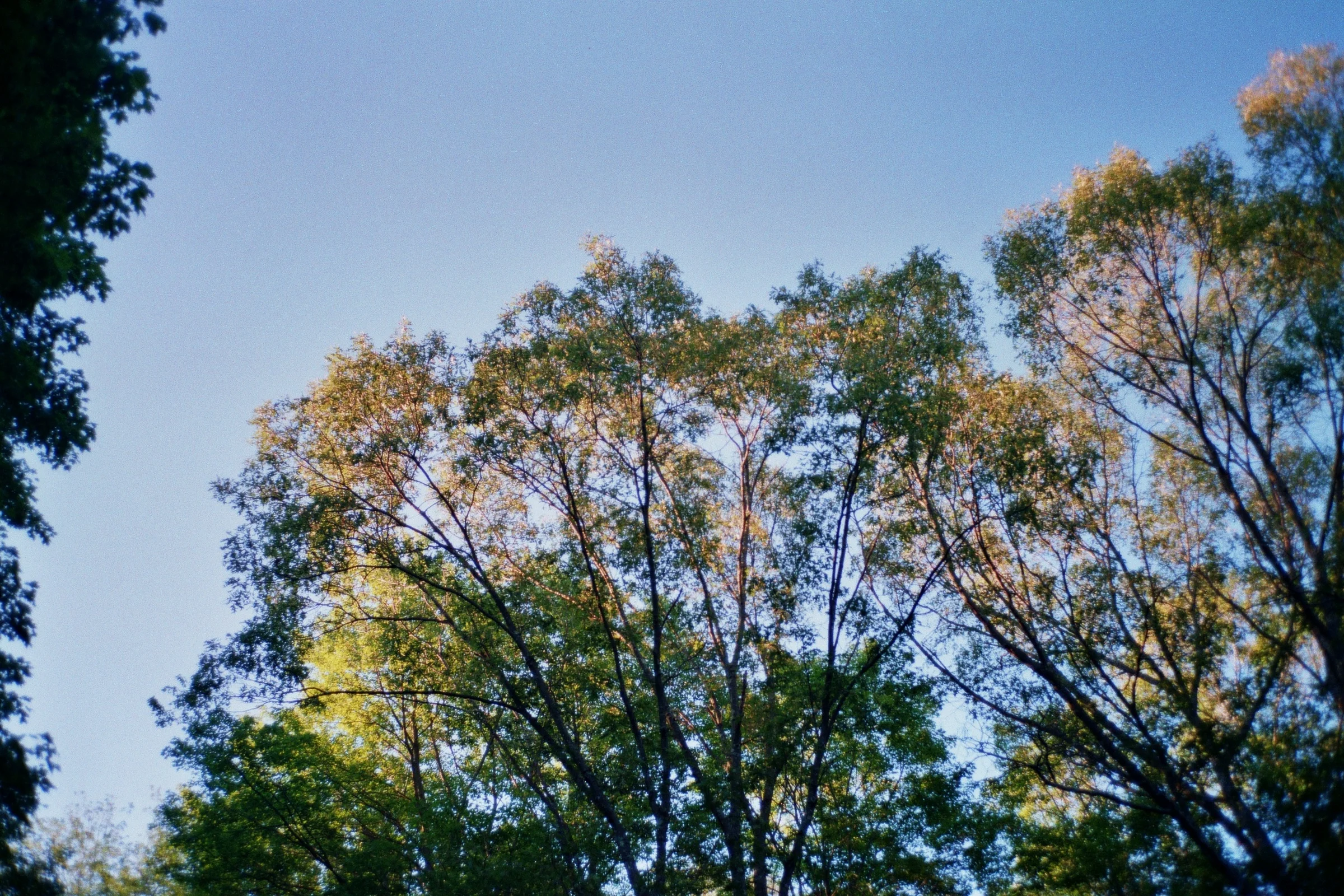 _23_00188.jpg
