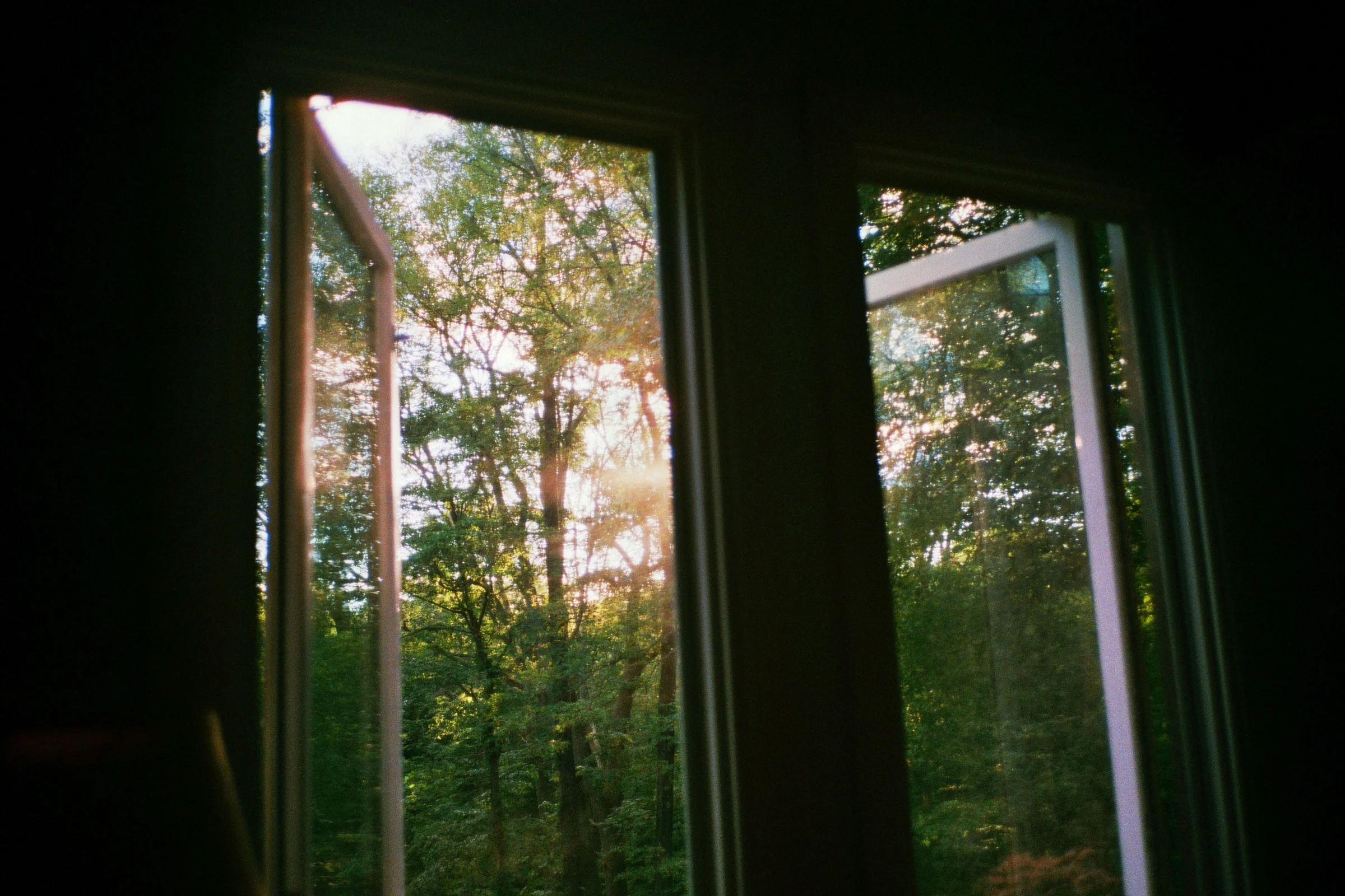 _18_00183.jpg