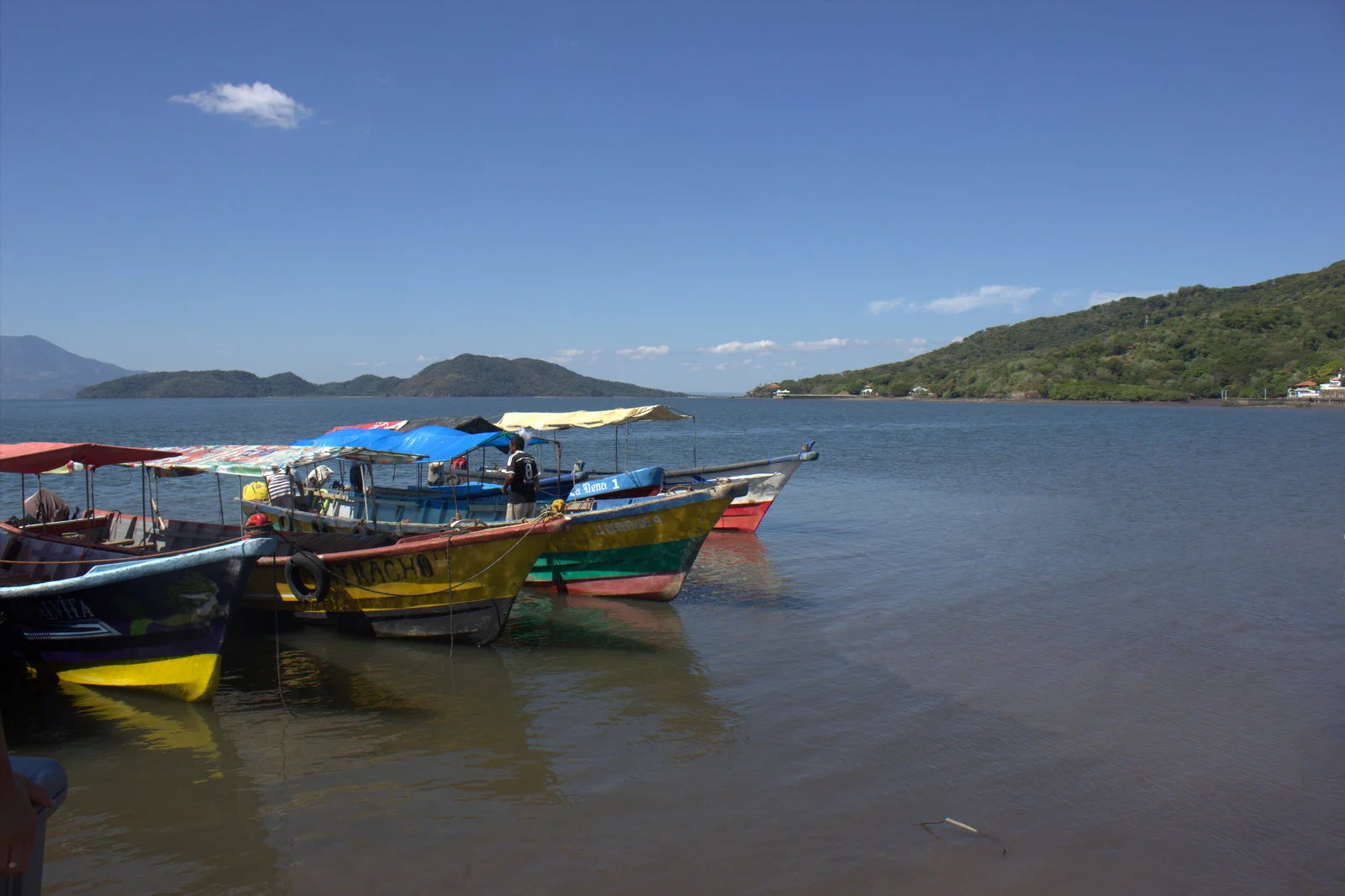 IMG_4168.jpg