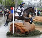 three day horse.jpg