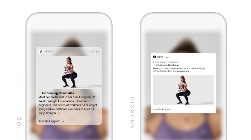 HIGA - app notifications.png