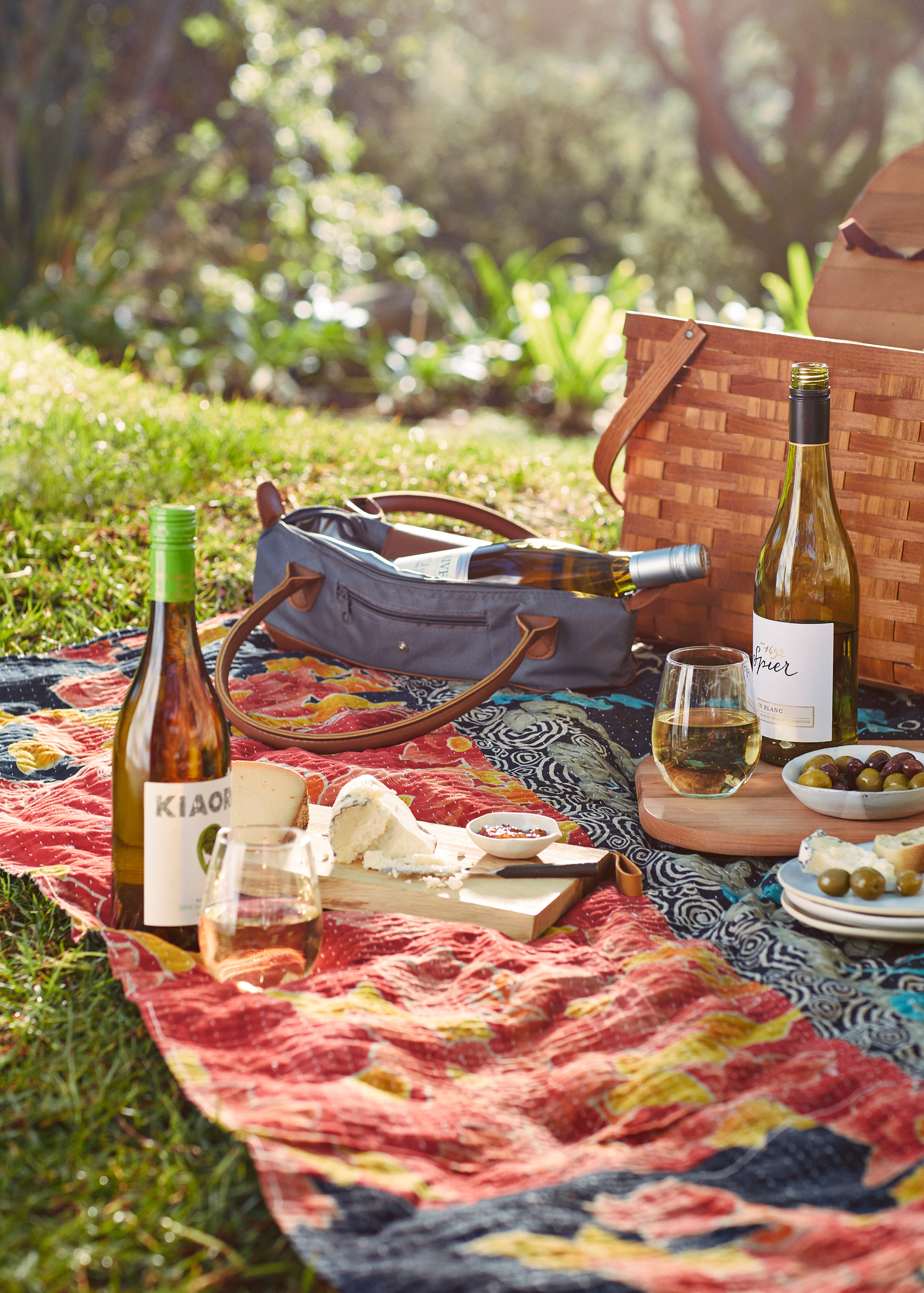 White wine and cheese in an outdoor picnic setting. 