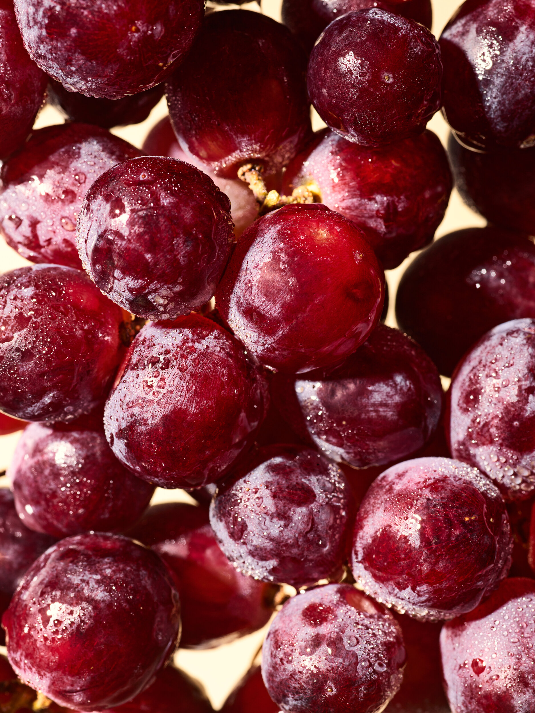 A closeup macro photograph of fresh red grapes spritzed with water. 