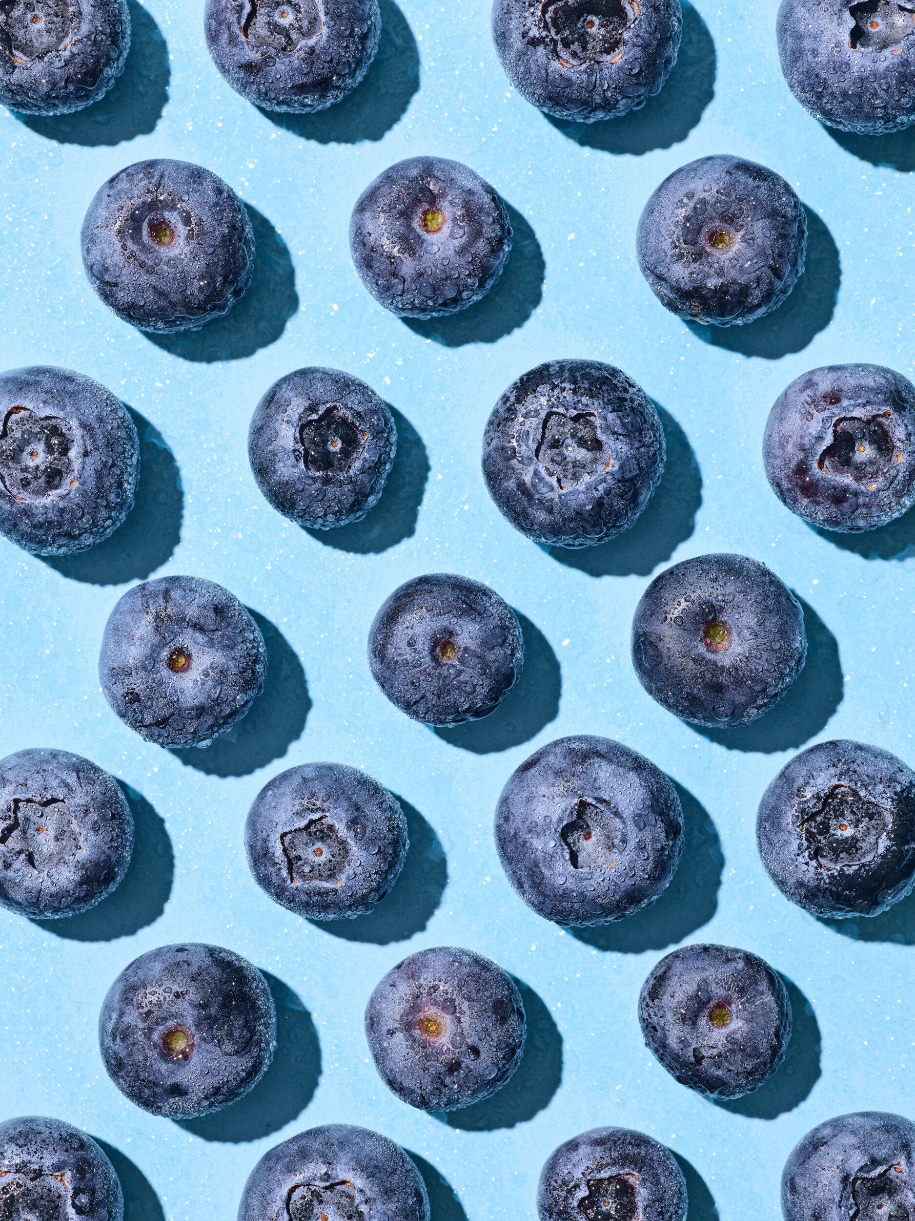 5-Blueberries-Grid-0180043020-R1-V2.jpg