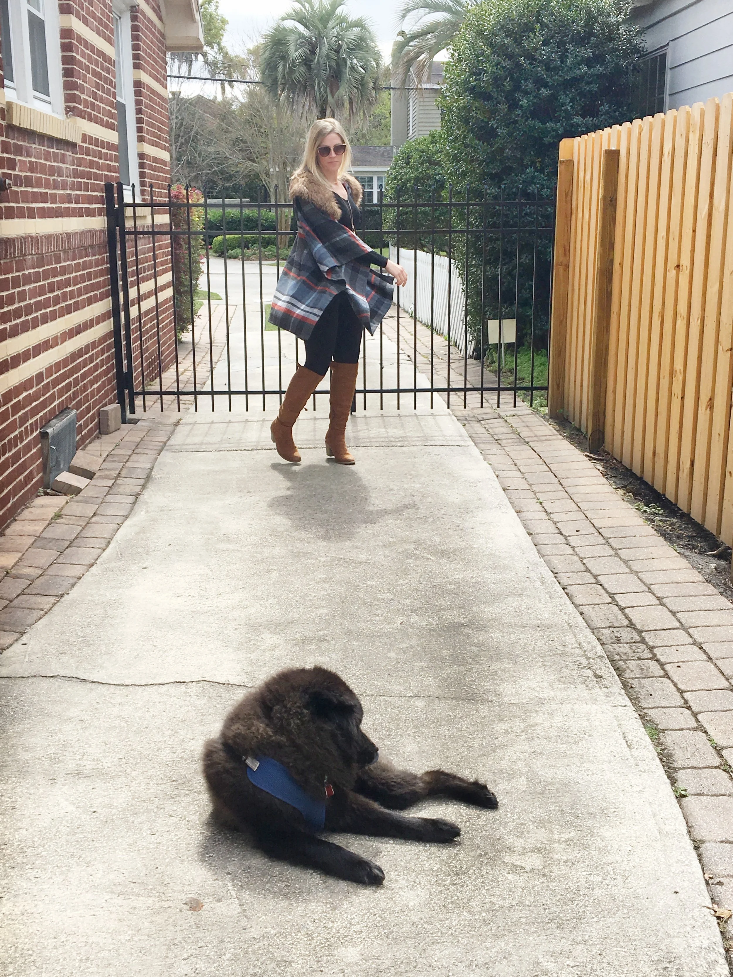 The Frigid, Furry Florida Cold Snap - March 15, 2017