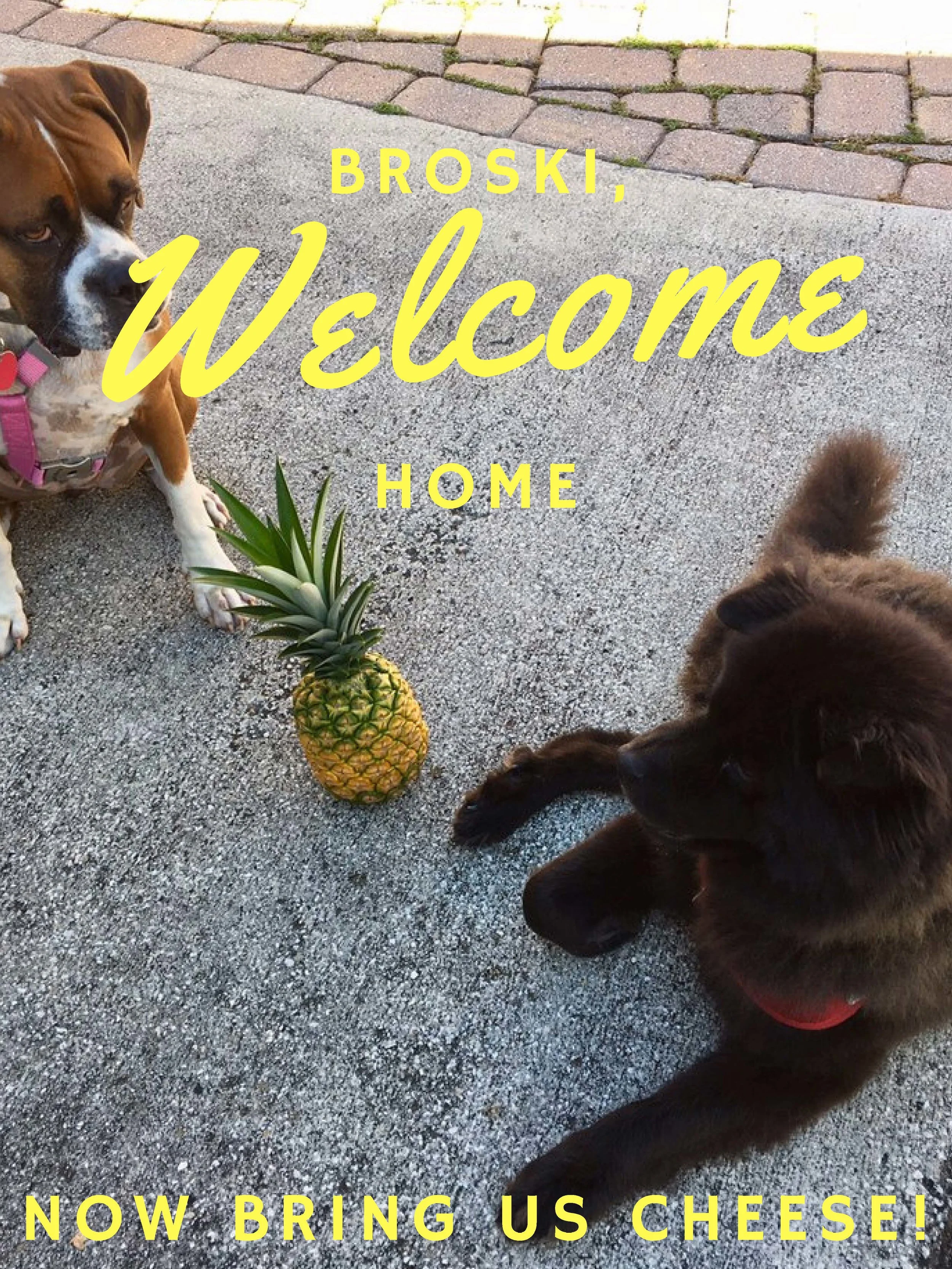 Deployment Welcome Home Sign