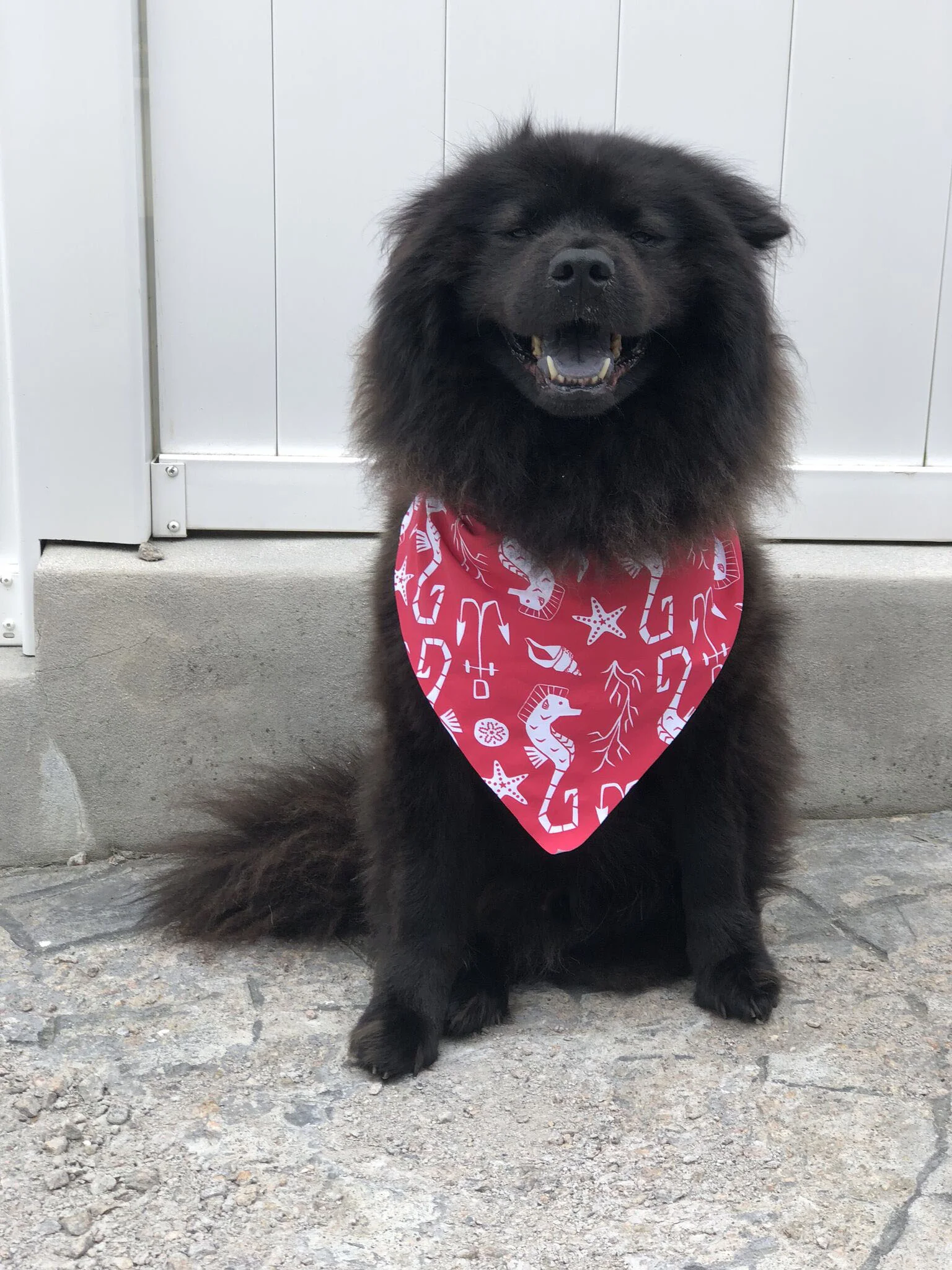 Dog Days of Summer Sale at KatherineWay.com featured by The Borrowed Babes Fashion Blog