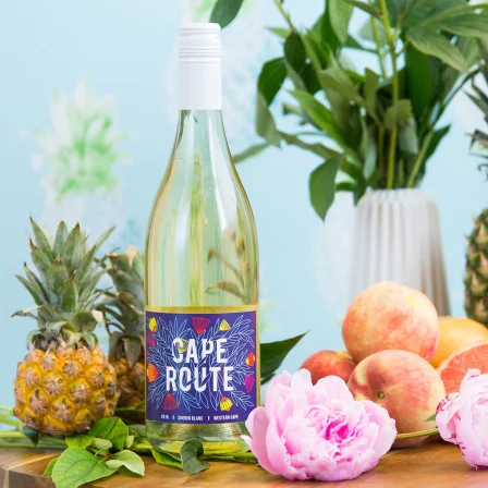 WINC Wine Club Savings with The Borrowed Babes