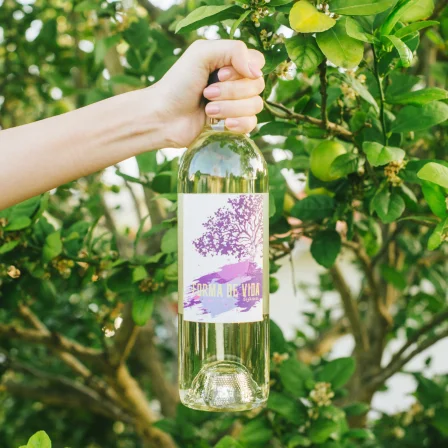 WINC Wine Club Savings with The Borrowed Babes