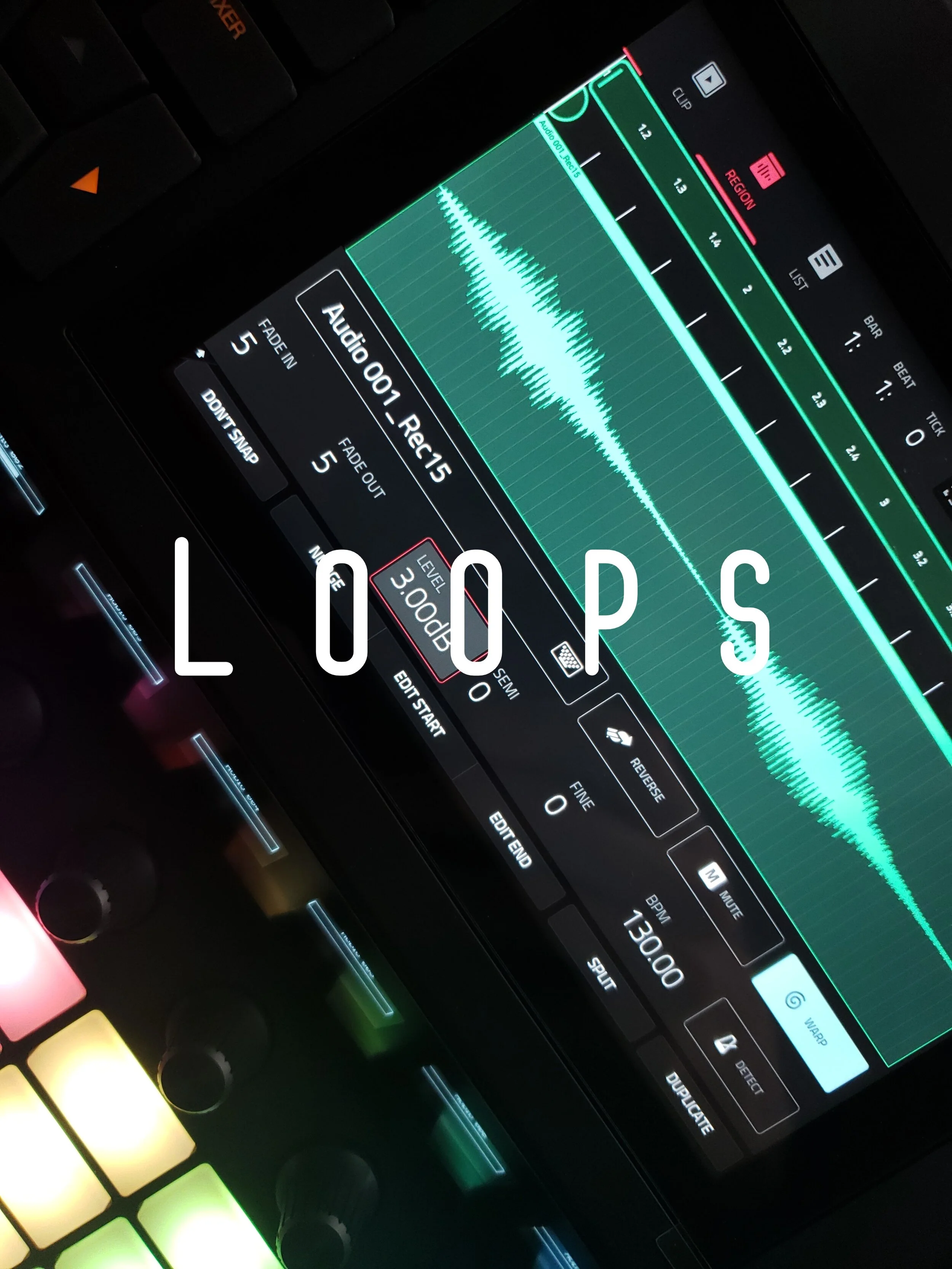 20191004_125909.loops.mk1.jpg