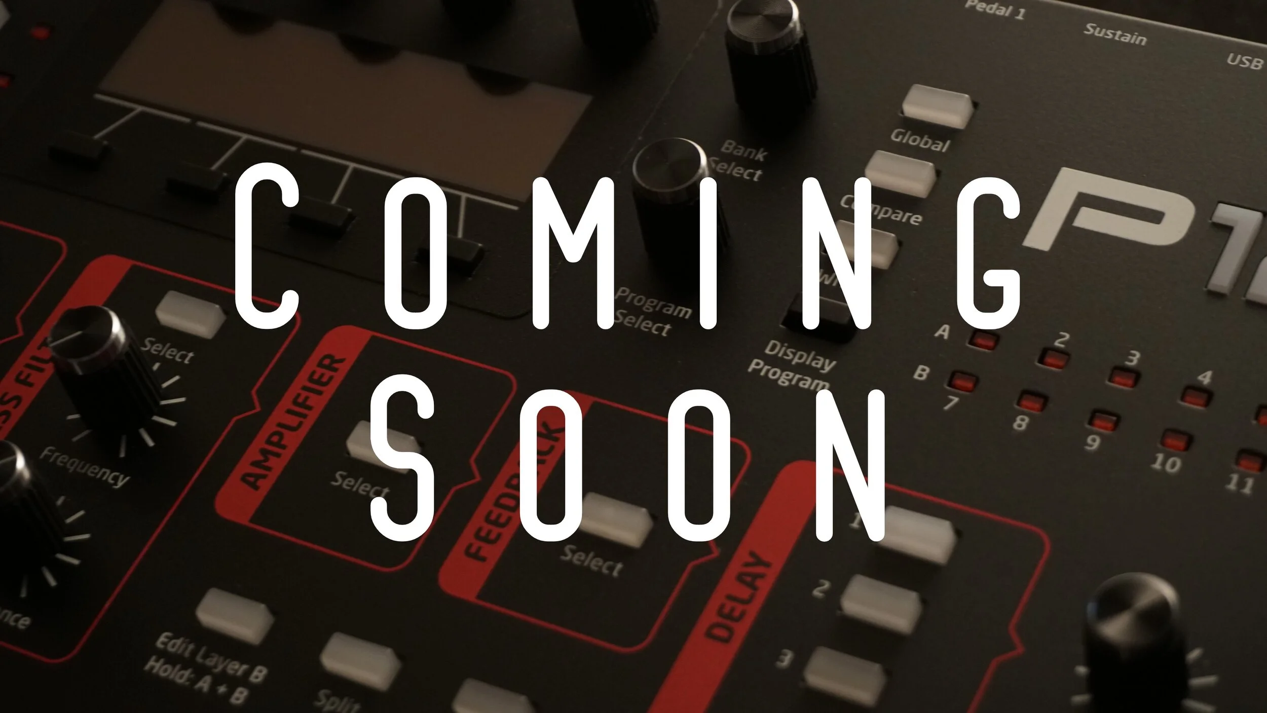 DSC08342.coming.soon.jpg