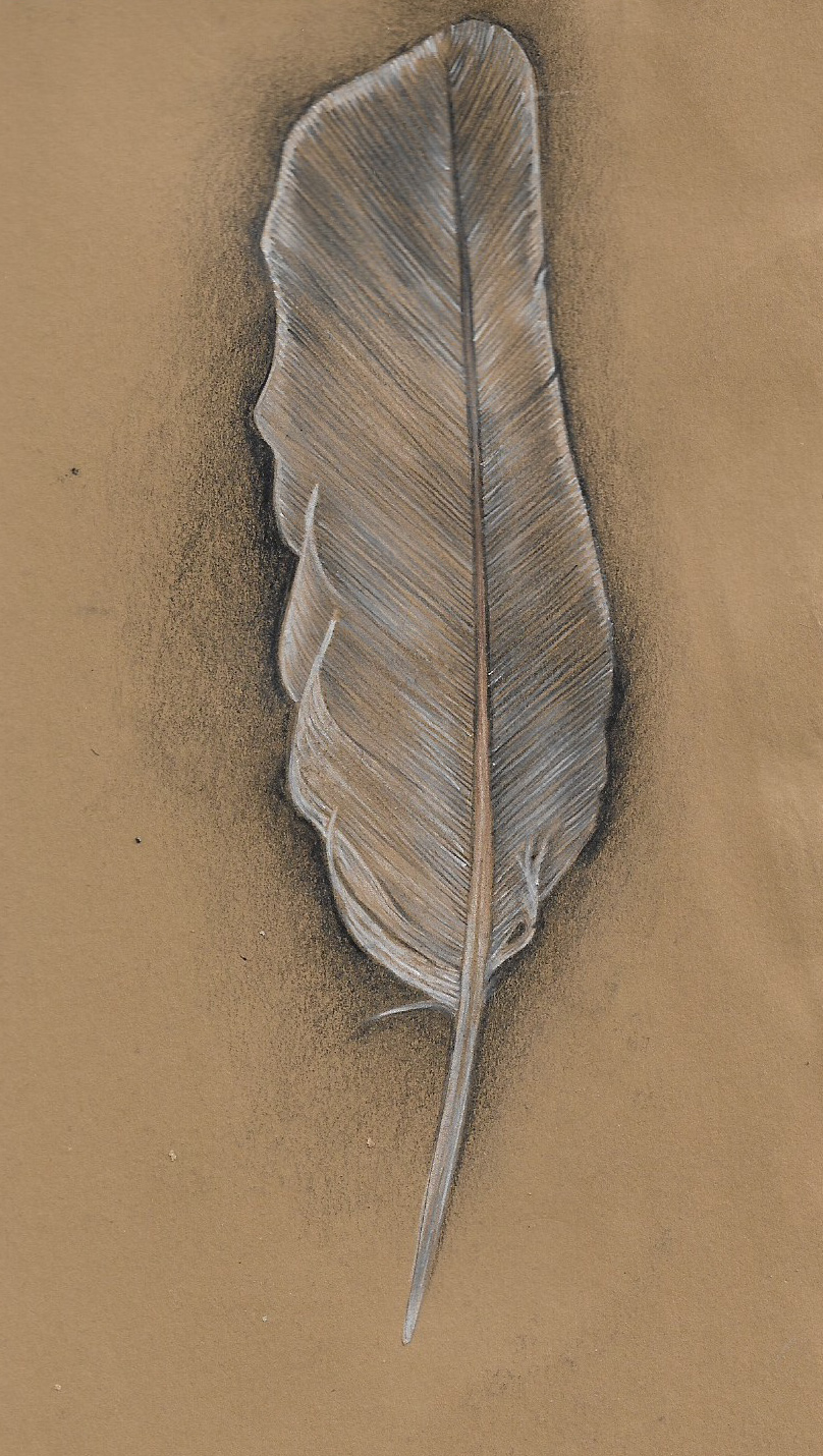 feather1.jpg