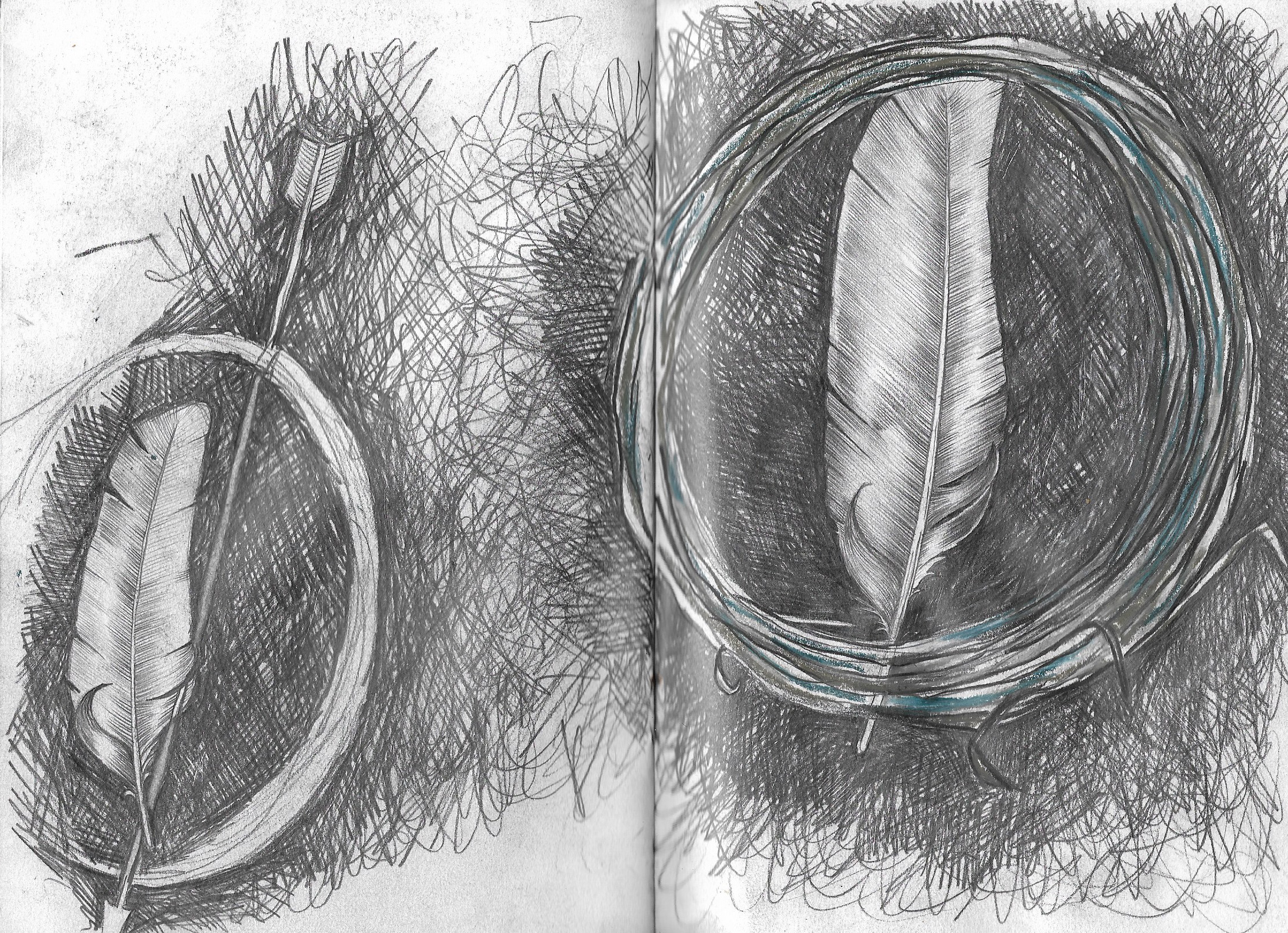 feather3.jpg
