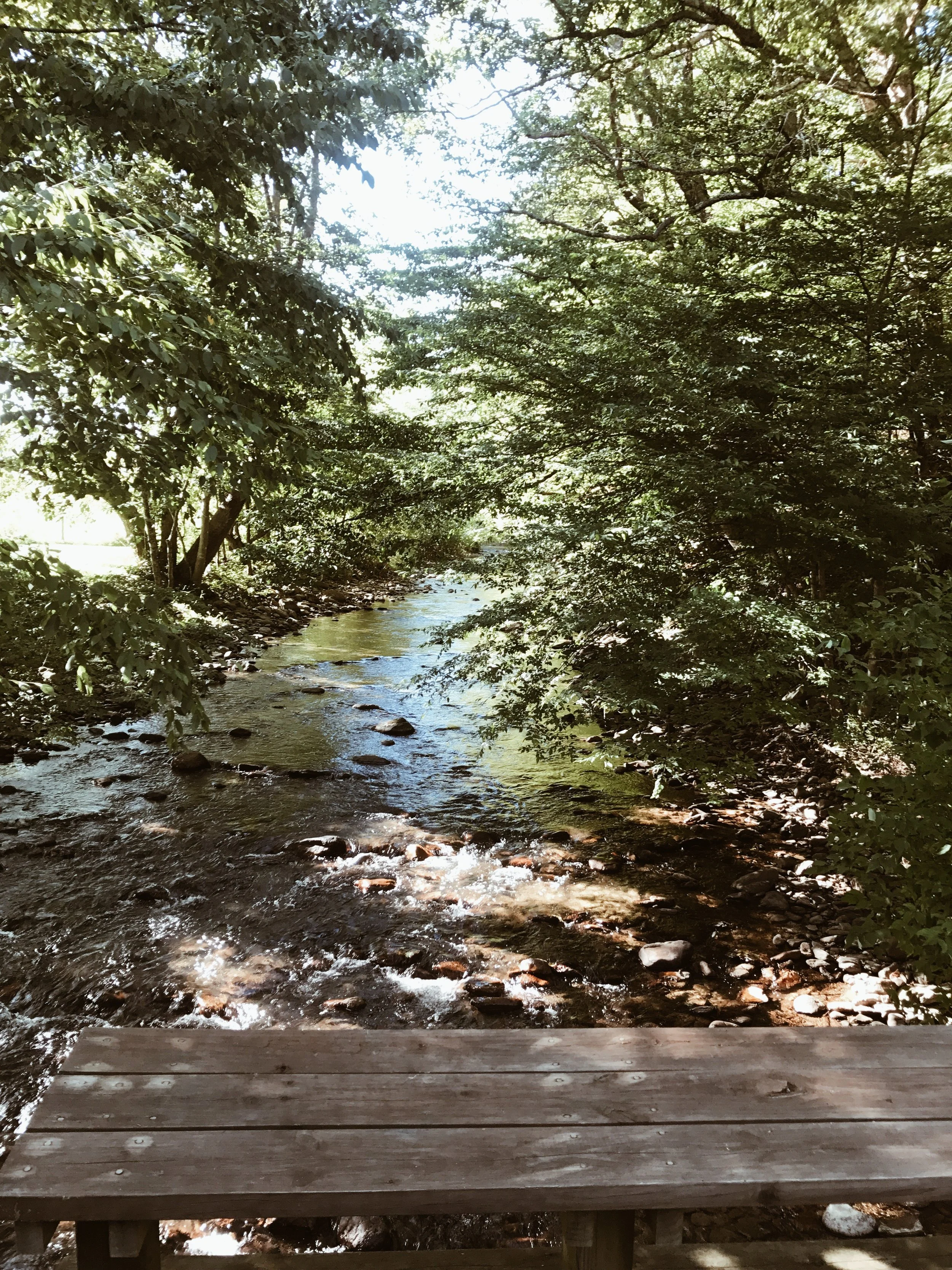 Lansing, NC | New River front property for a happy ole hiker and his pup