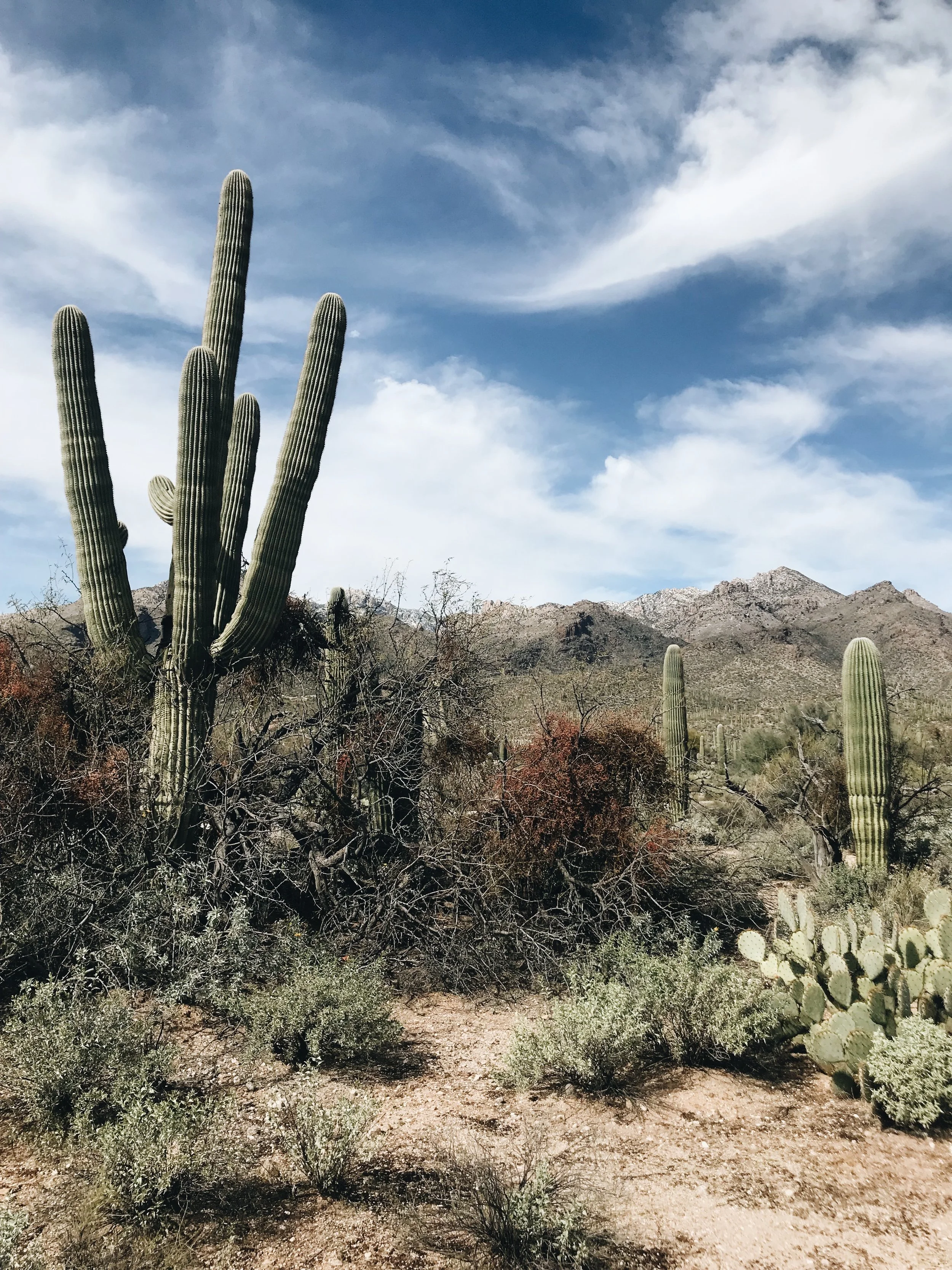 A Weekend in the Arizona Desert &amp; A New Decade