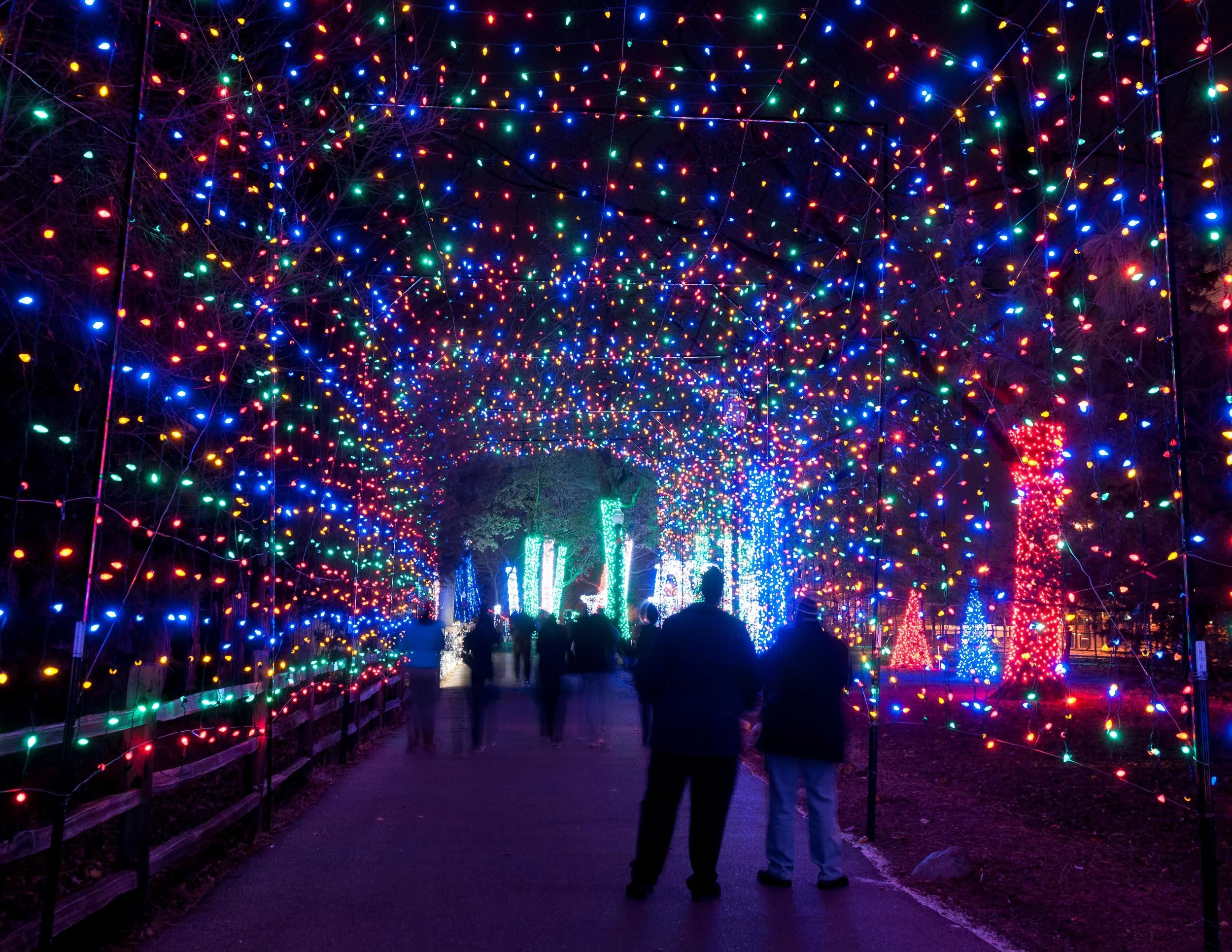 Wild Lights at the Detroit Zoo and the Holiday Magic Marketplace