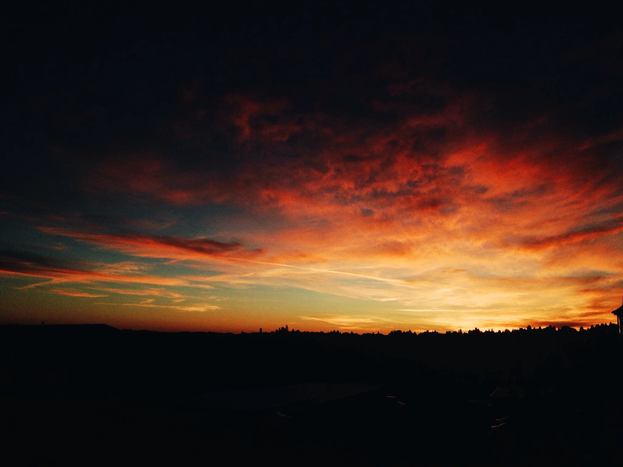 Happiness Texts & TED talks