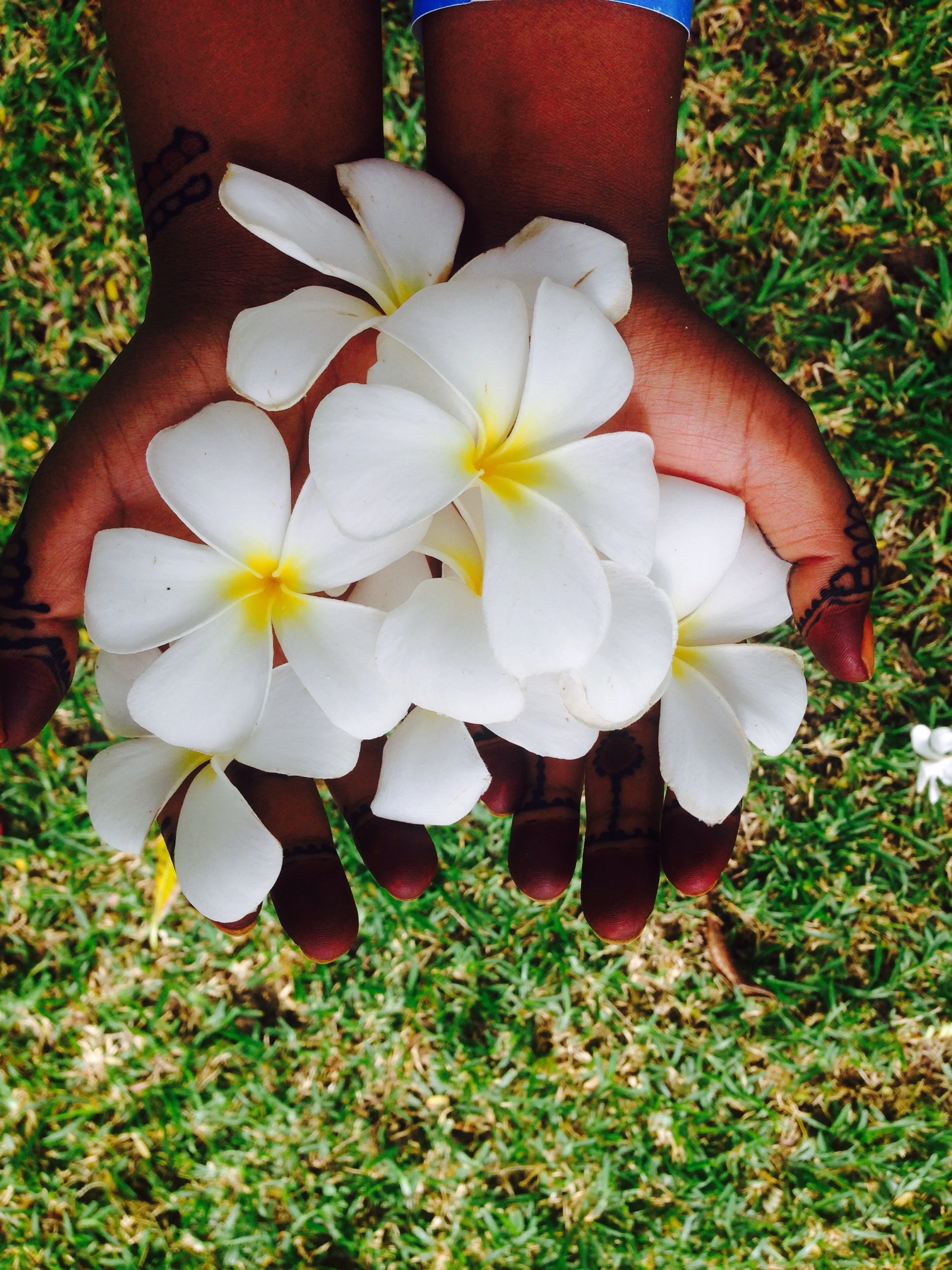 If wishes were horses.