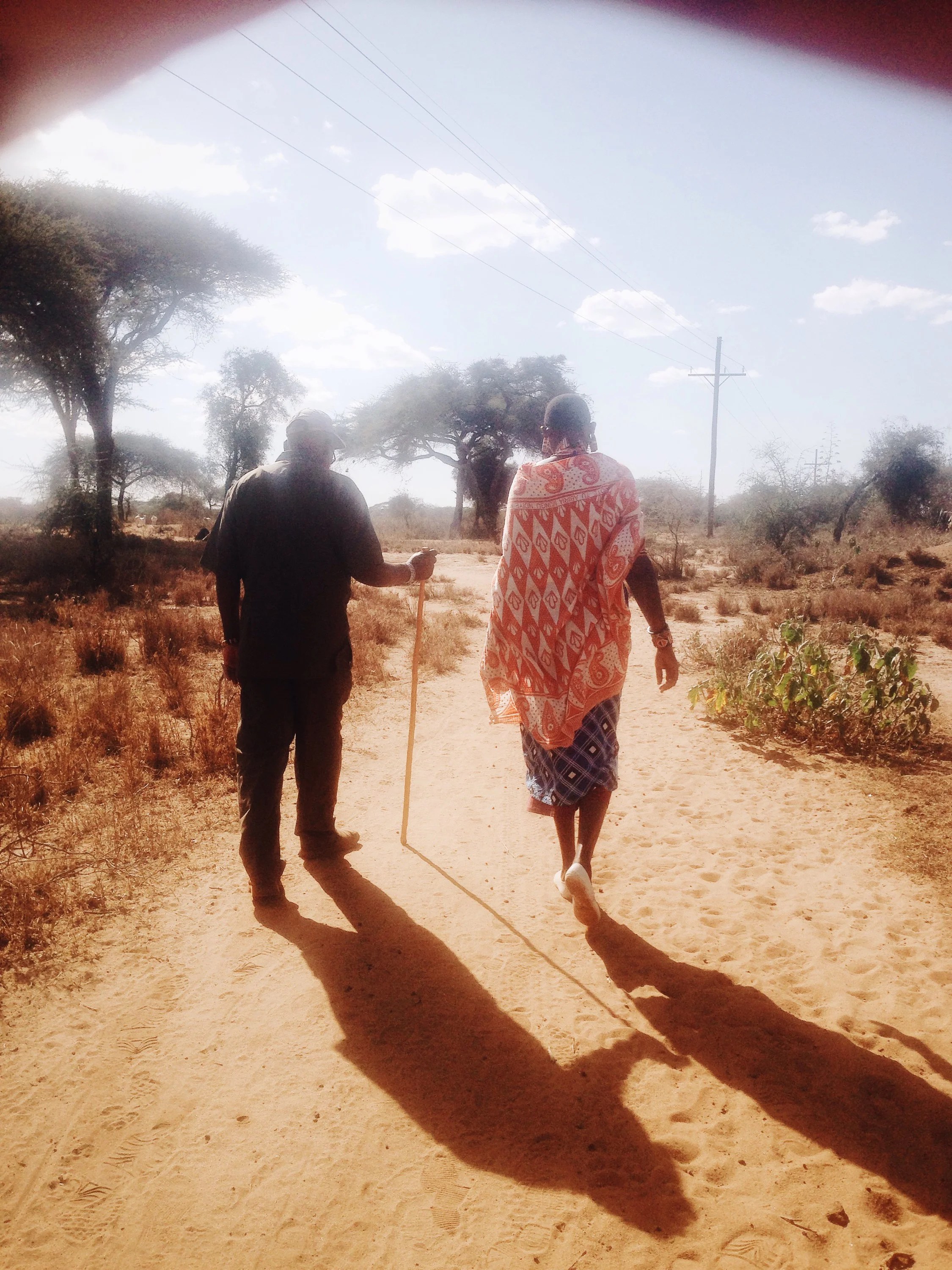 "It's not even a daddy long leg it's a daddy fat leg"