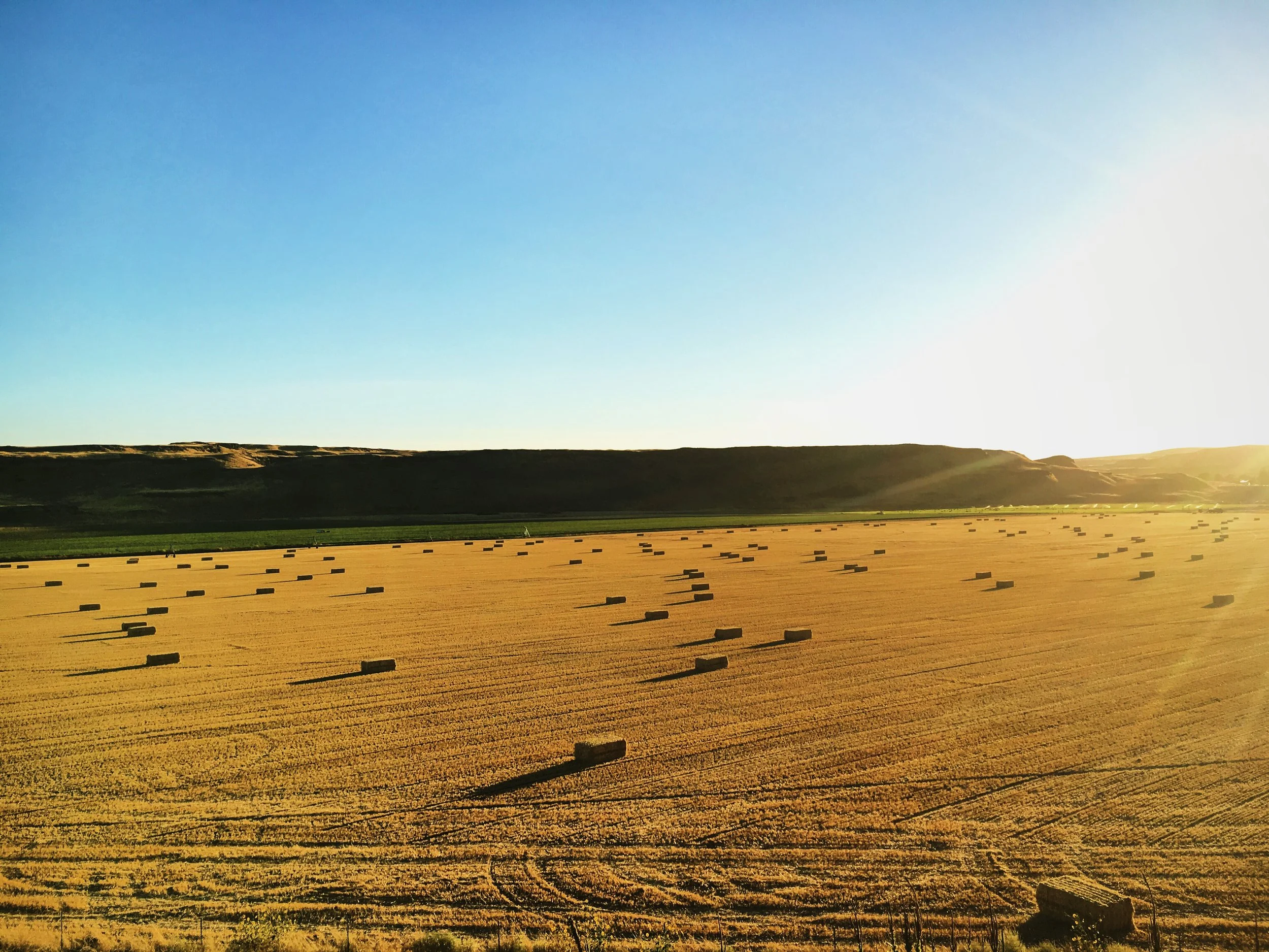 0.11 - Attending Networking Events 