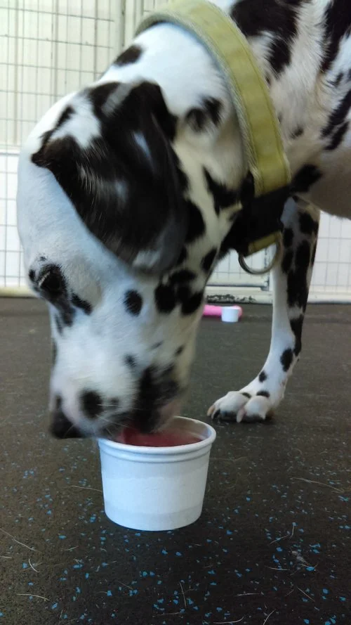 IMAG0274.jpg