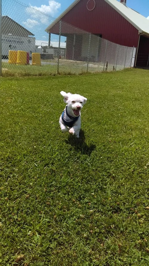 IMAG0367.jpg