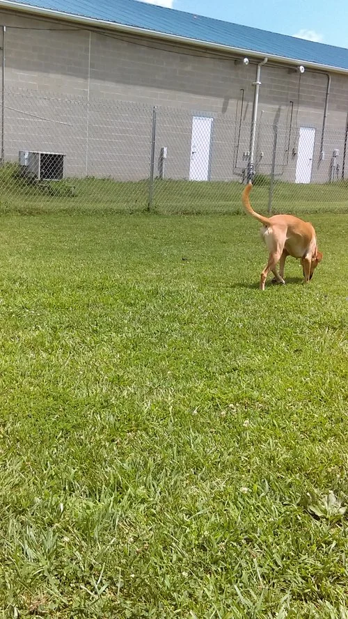 IMAG0505.jpg