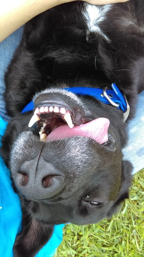 IMAG0522.jpg