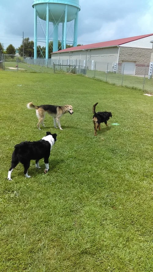 IMAG0548.jpg